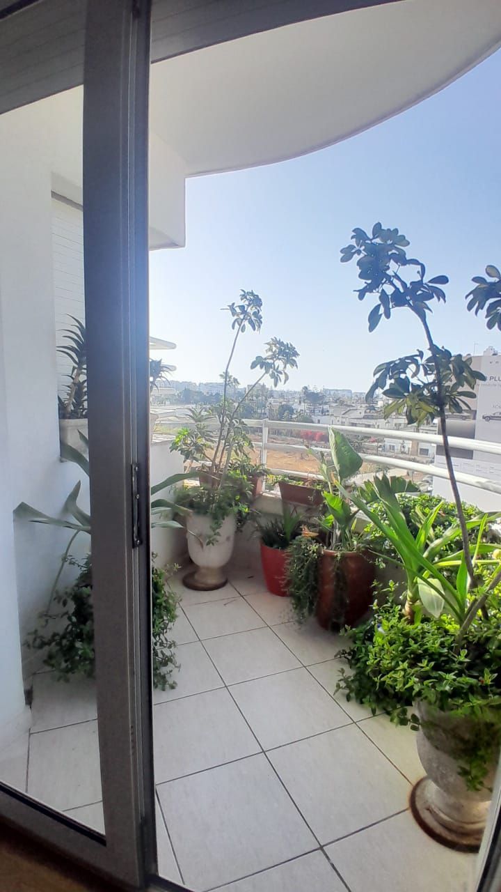 Appartement — Casablanca — 3