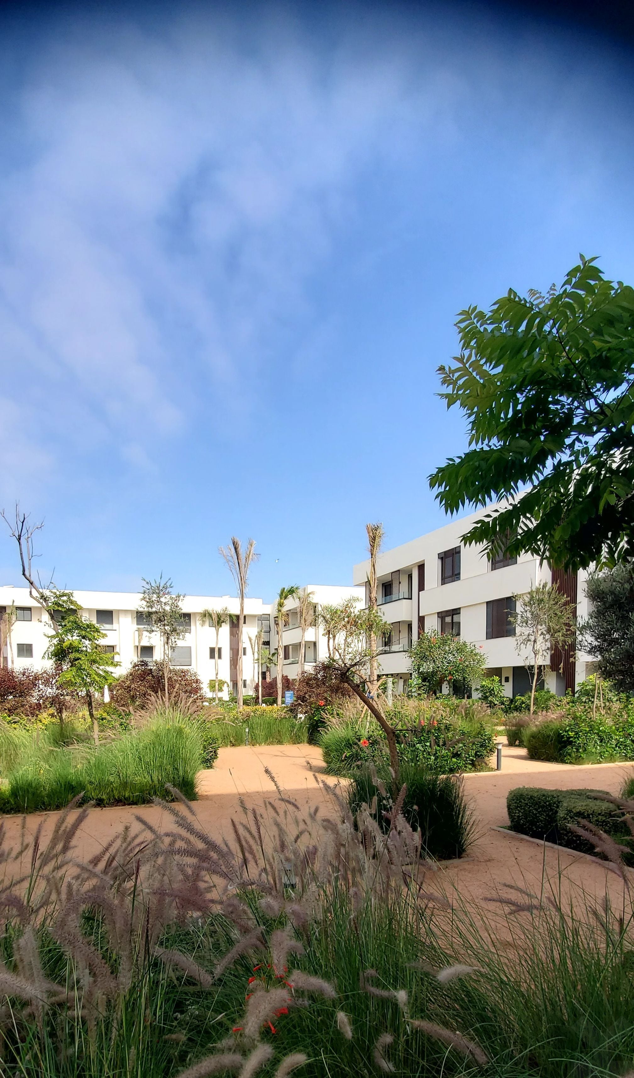 Appartement — Casablanca