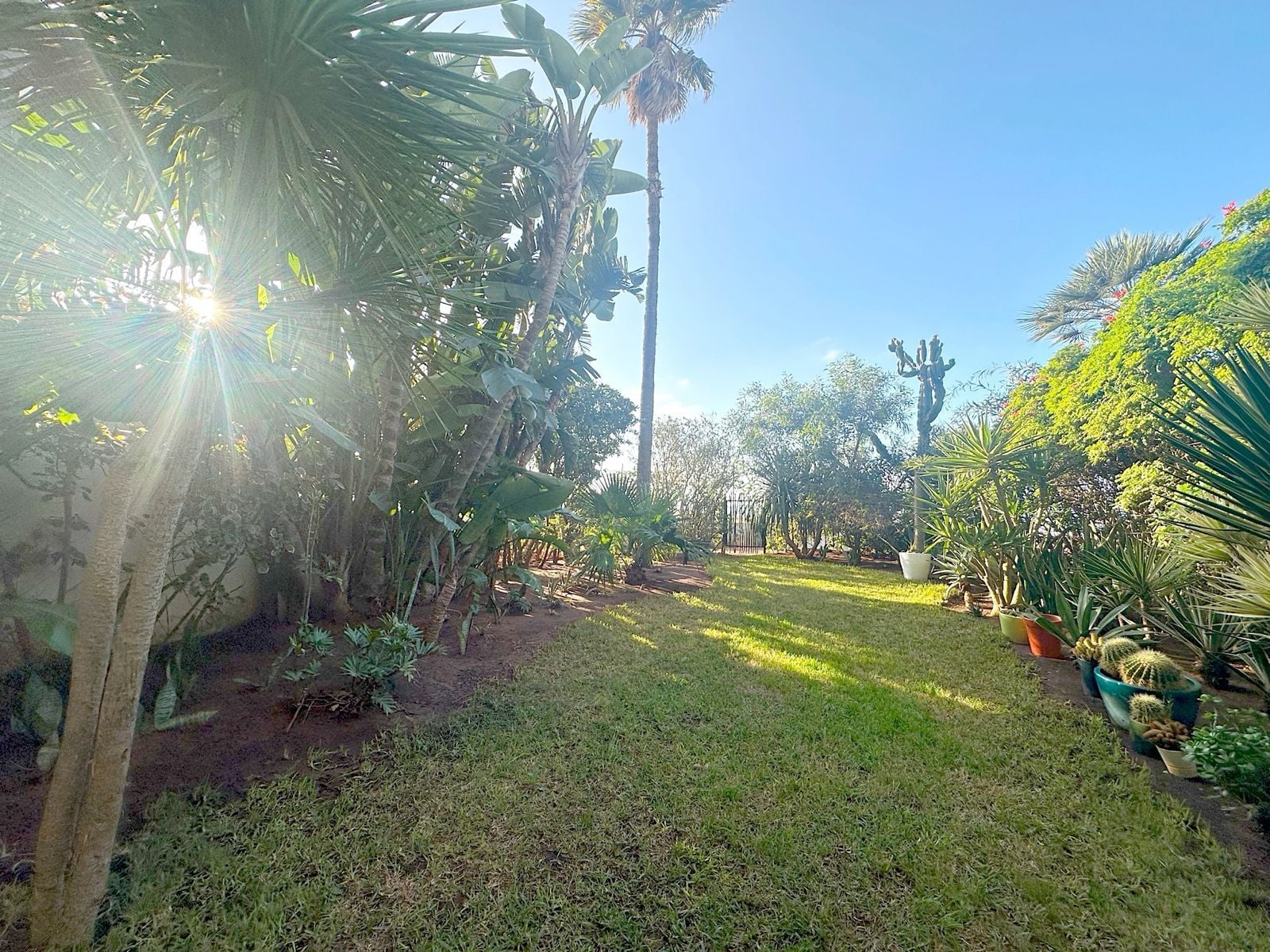 Appartement — Casablanca — 6