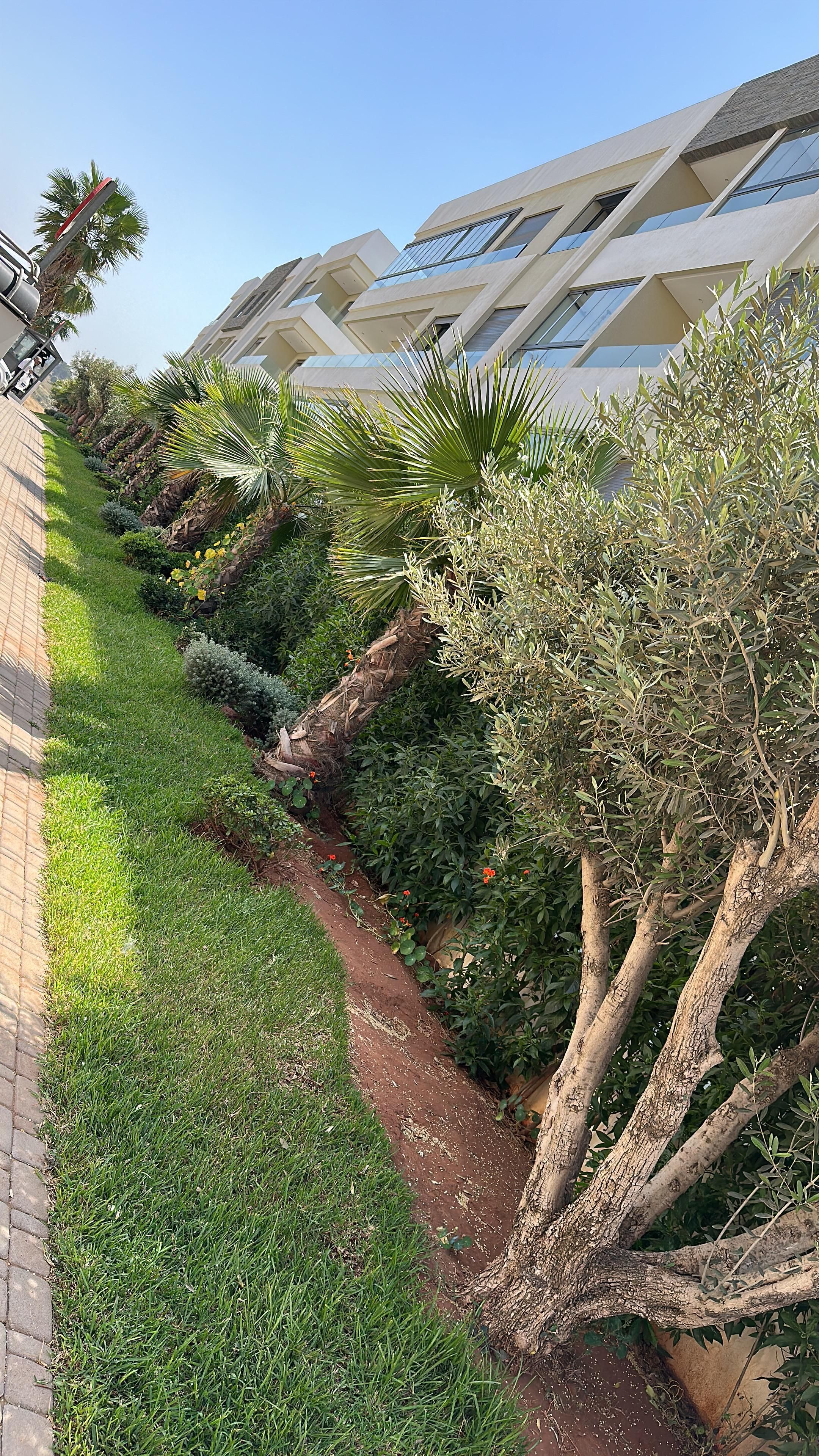 Appartement — Casablanca — 6