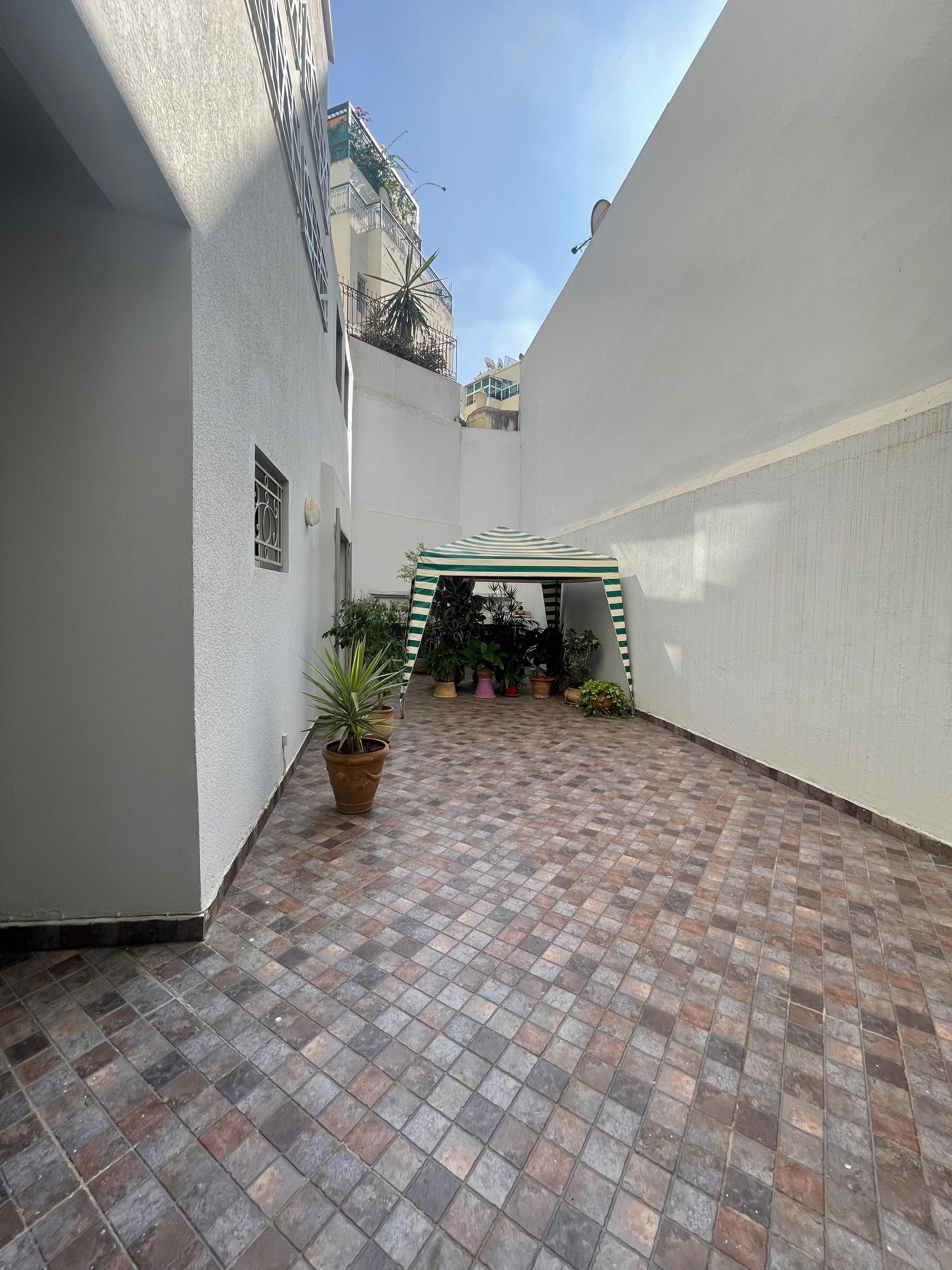 Appartement 240 m² à Racine — 11
