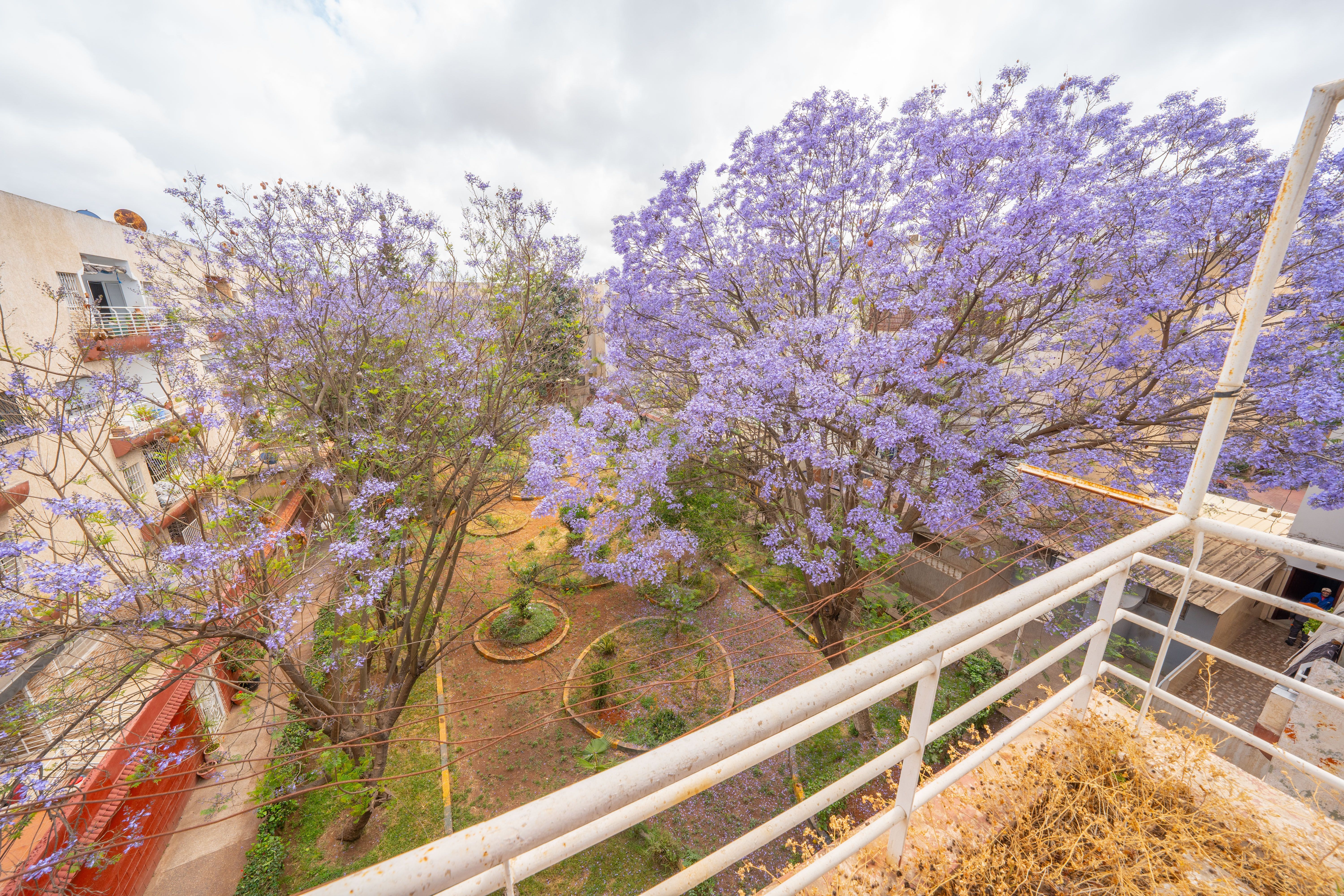 Appartement 96 m² à Sidi Bernoussi — 11