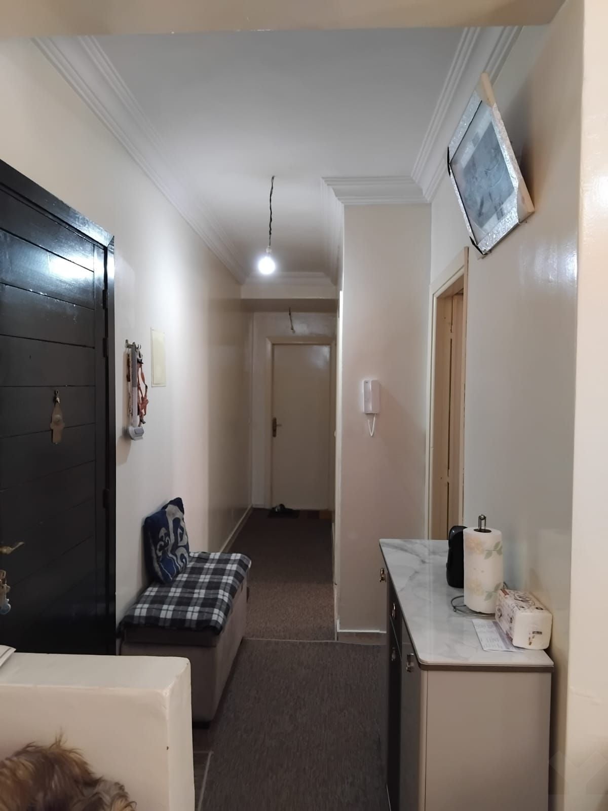 Appartement — Casablanca — 5