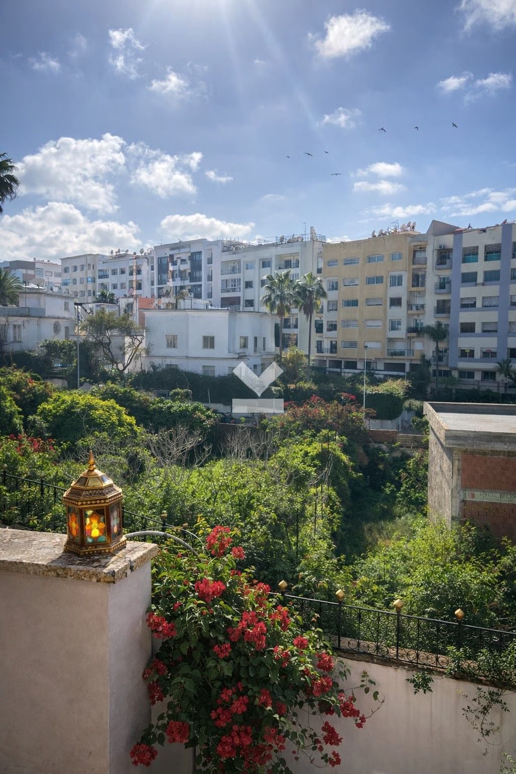 Appartement — Casablanca — 4