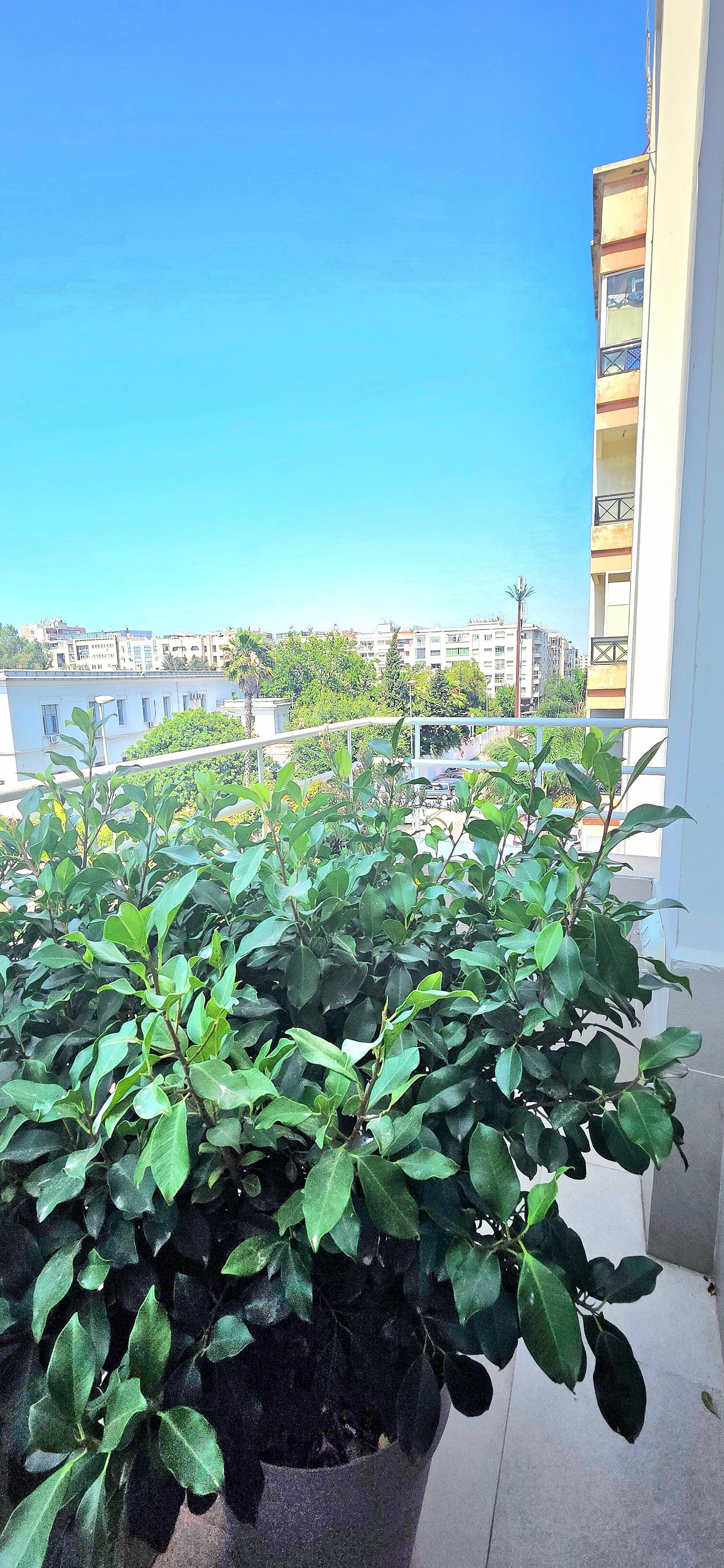 Appartement 118 m² f Hopitaux — 18