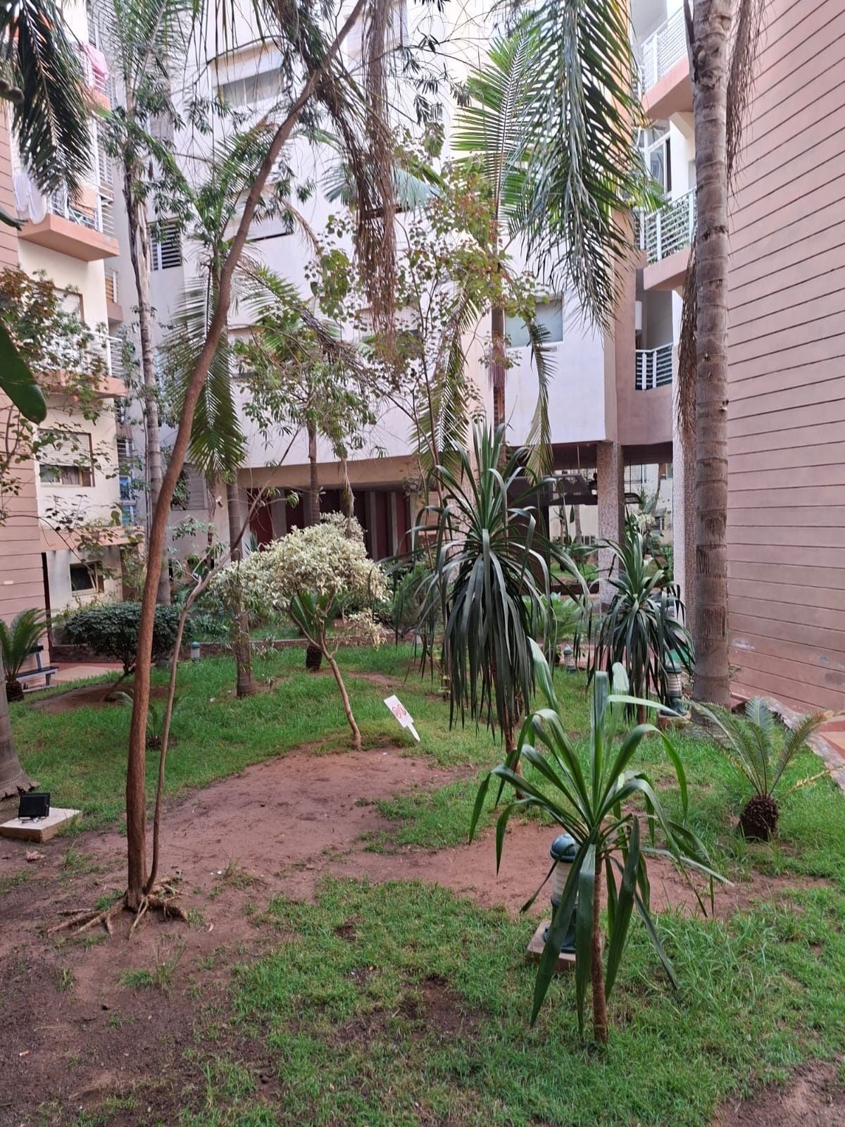 Appartement 125 m² à Nassim — 7