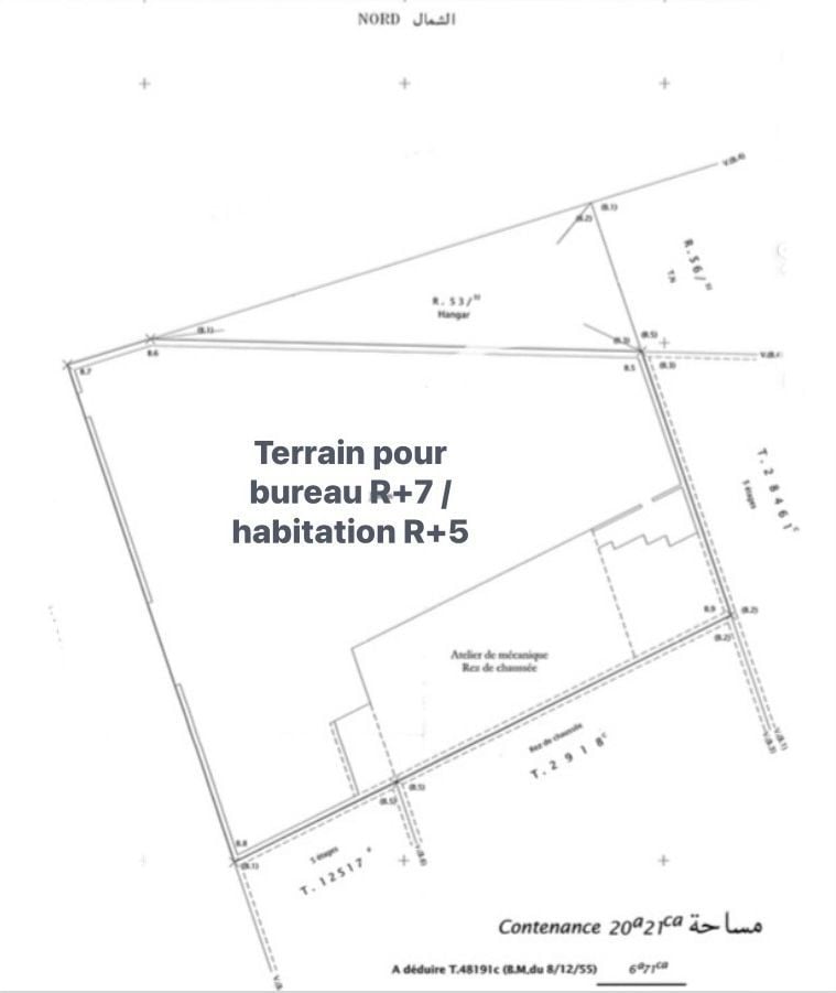 Terrain — Casablanca