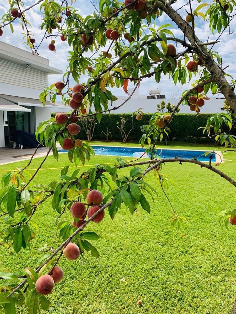 Villa — Bouskoura — 6