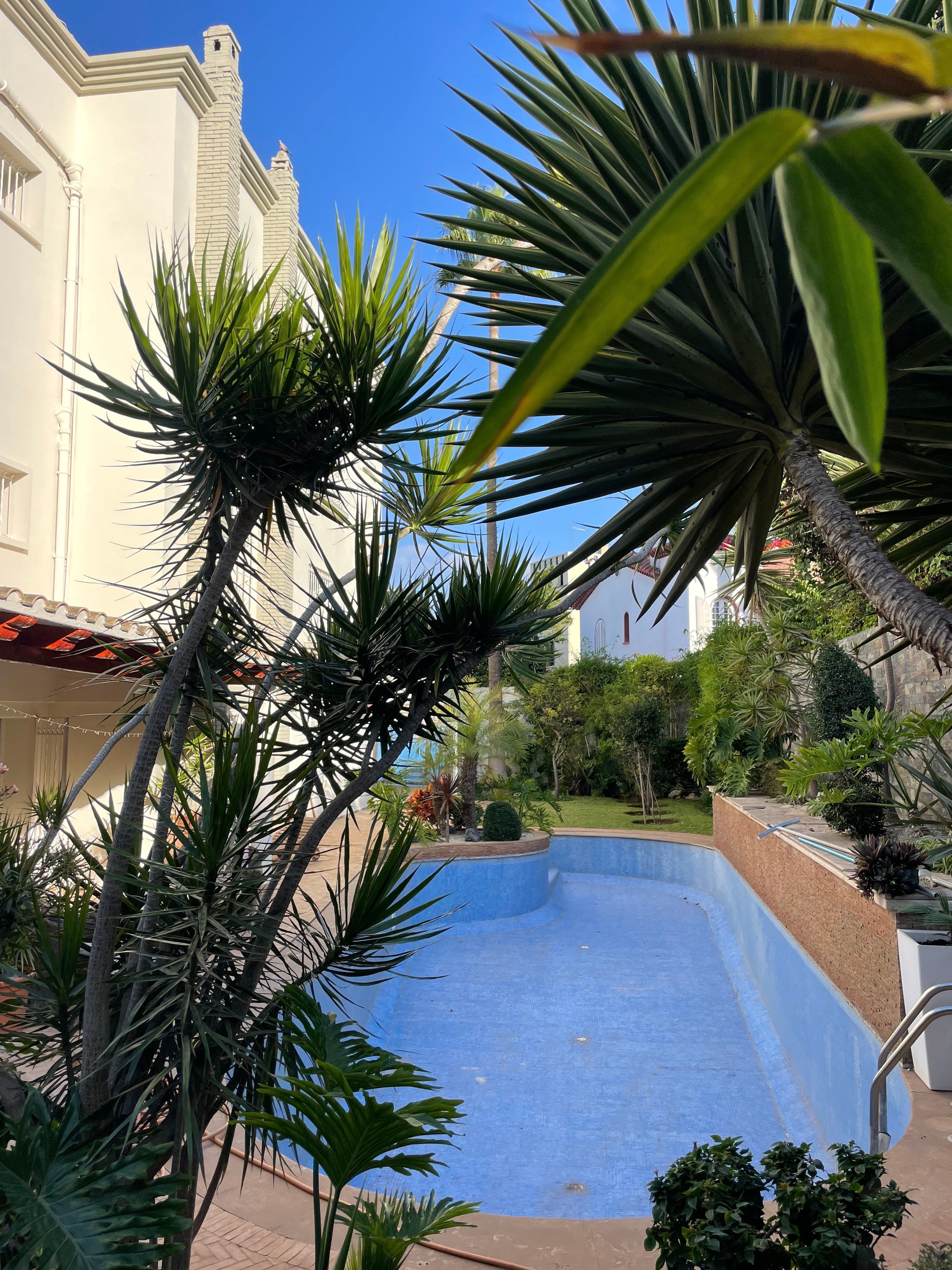 Villa 873 m² à Mers Sultan — 10