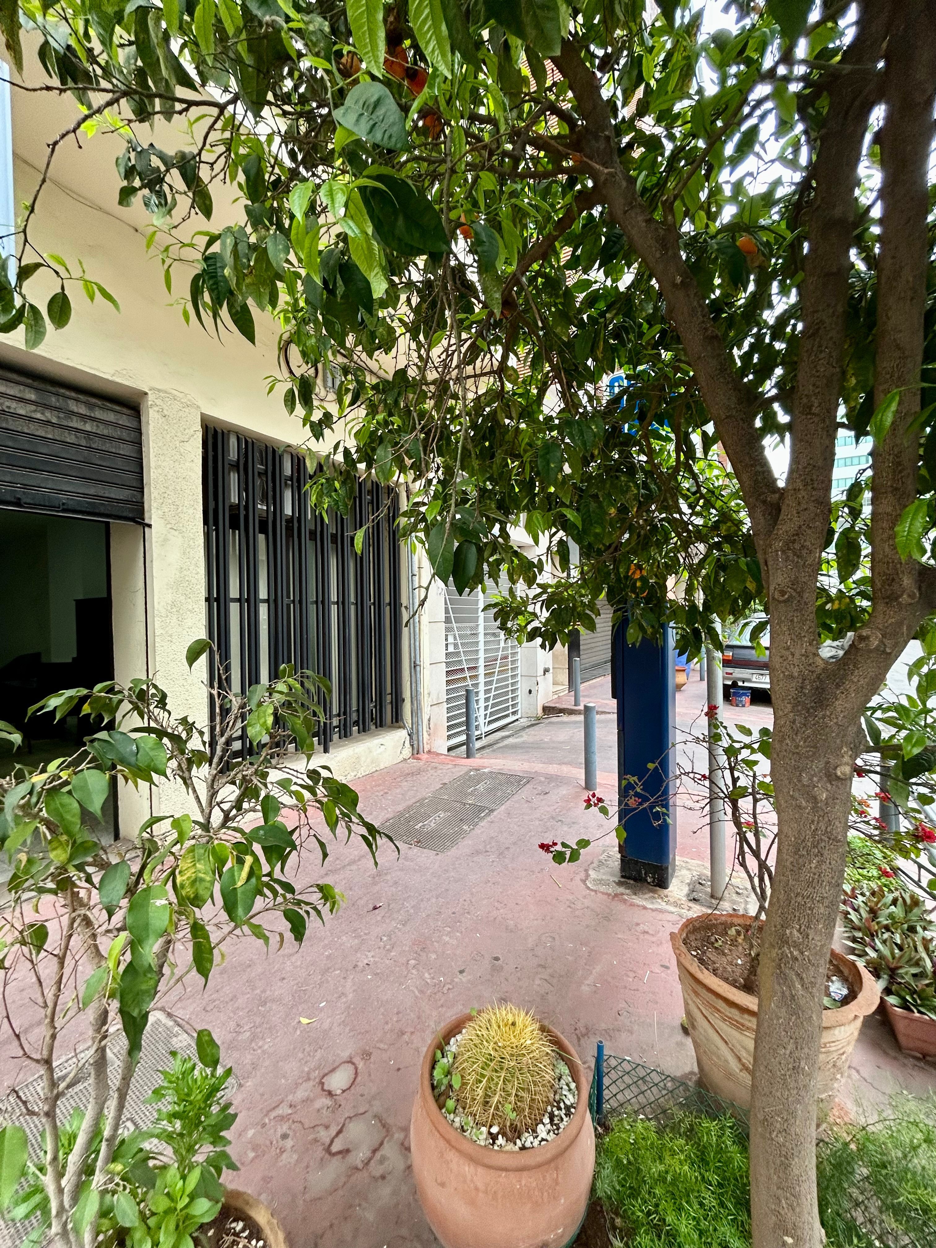 Local commercial — Casablanca — 5