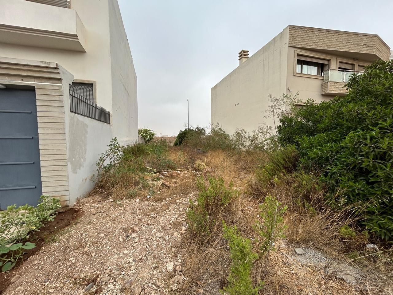 Terrain — Casablanca — 3