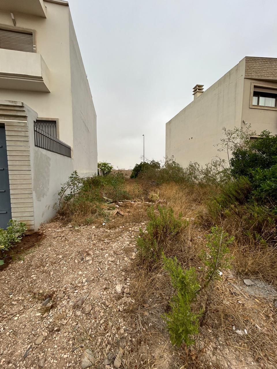 Terrain — Casablanca — 4
