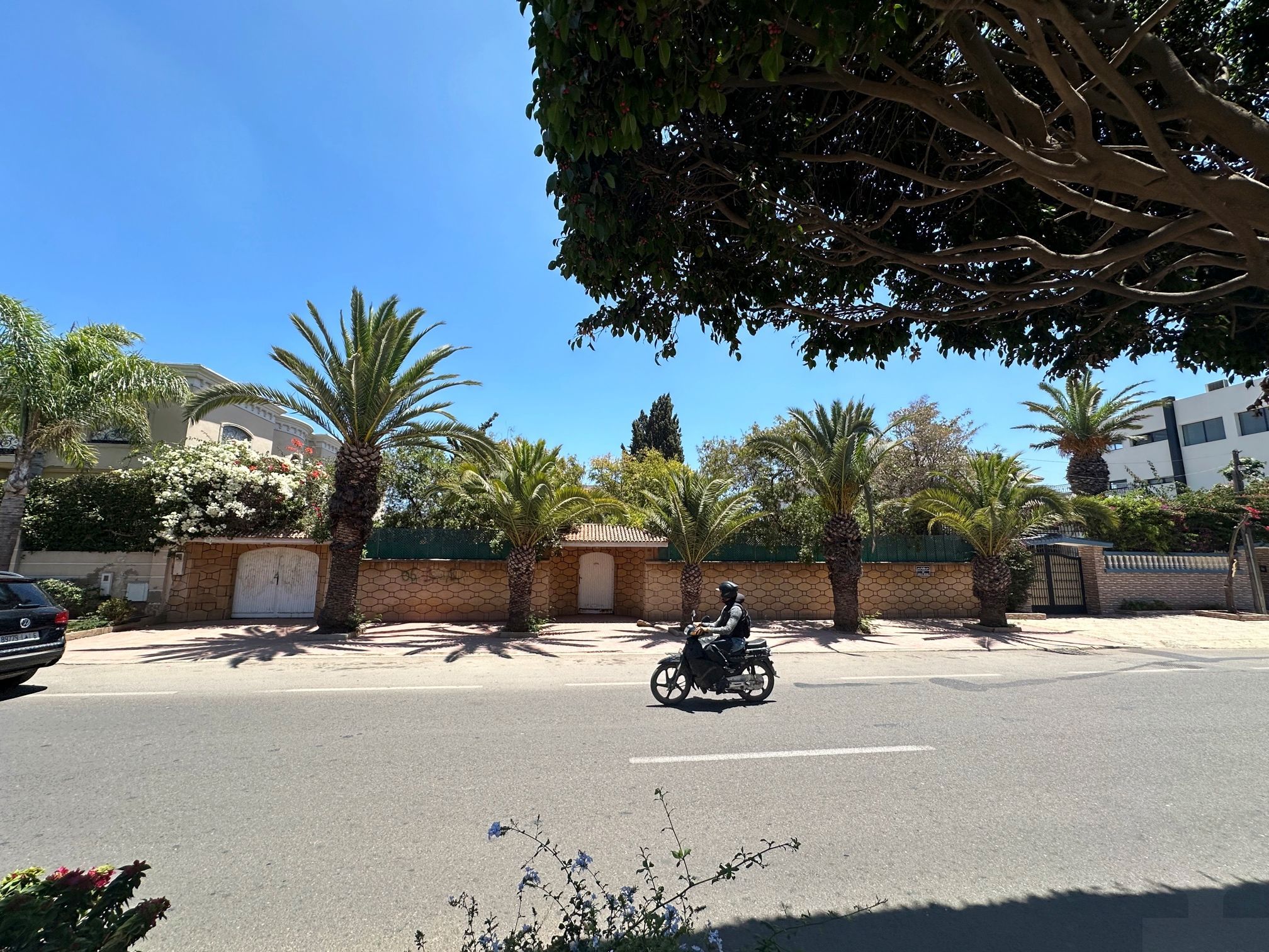 Terrain — Casablanca — 3