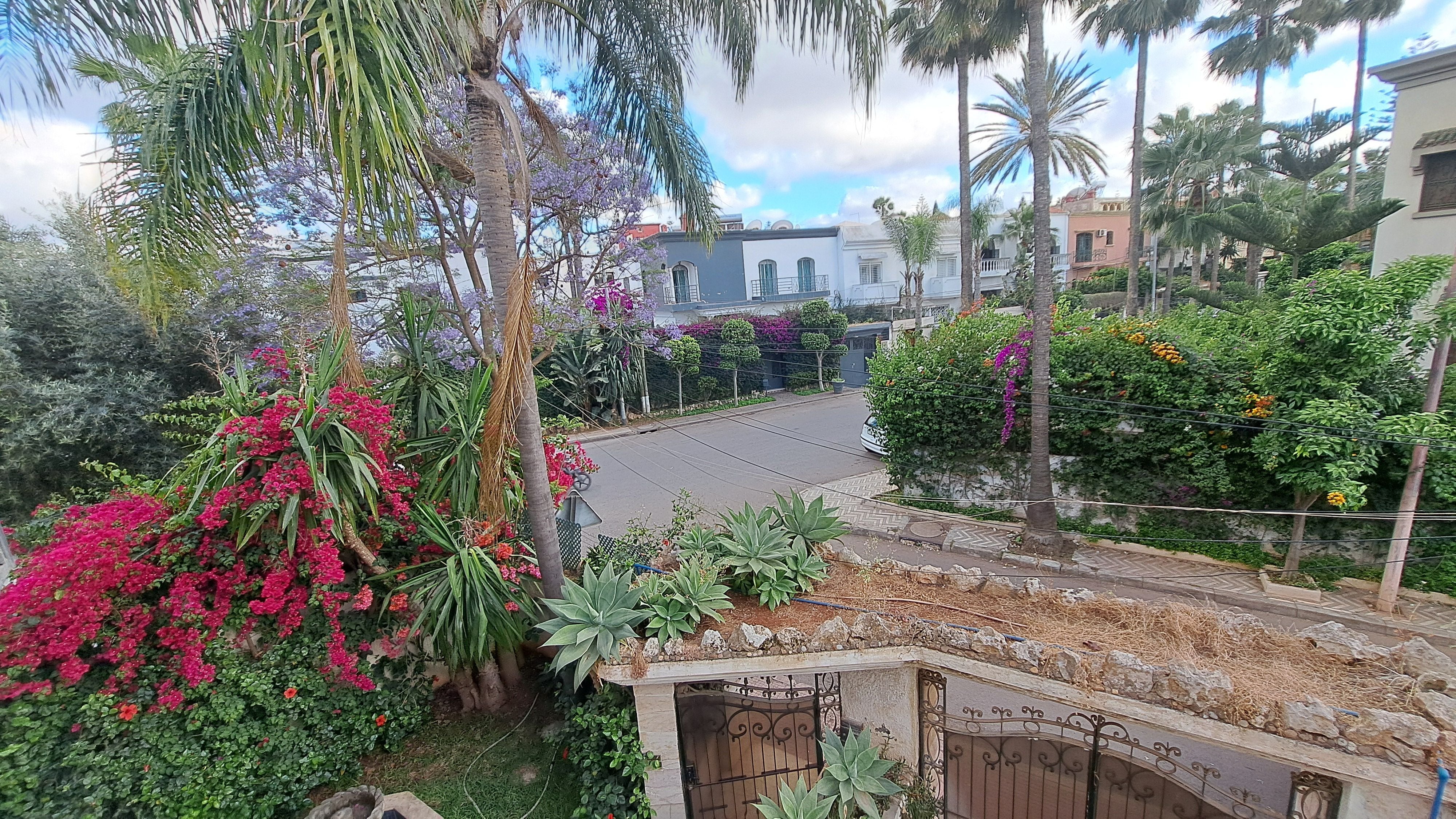 Villa 306 m² à Florida - Mandarona — 17