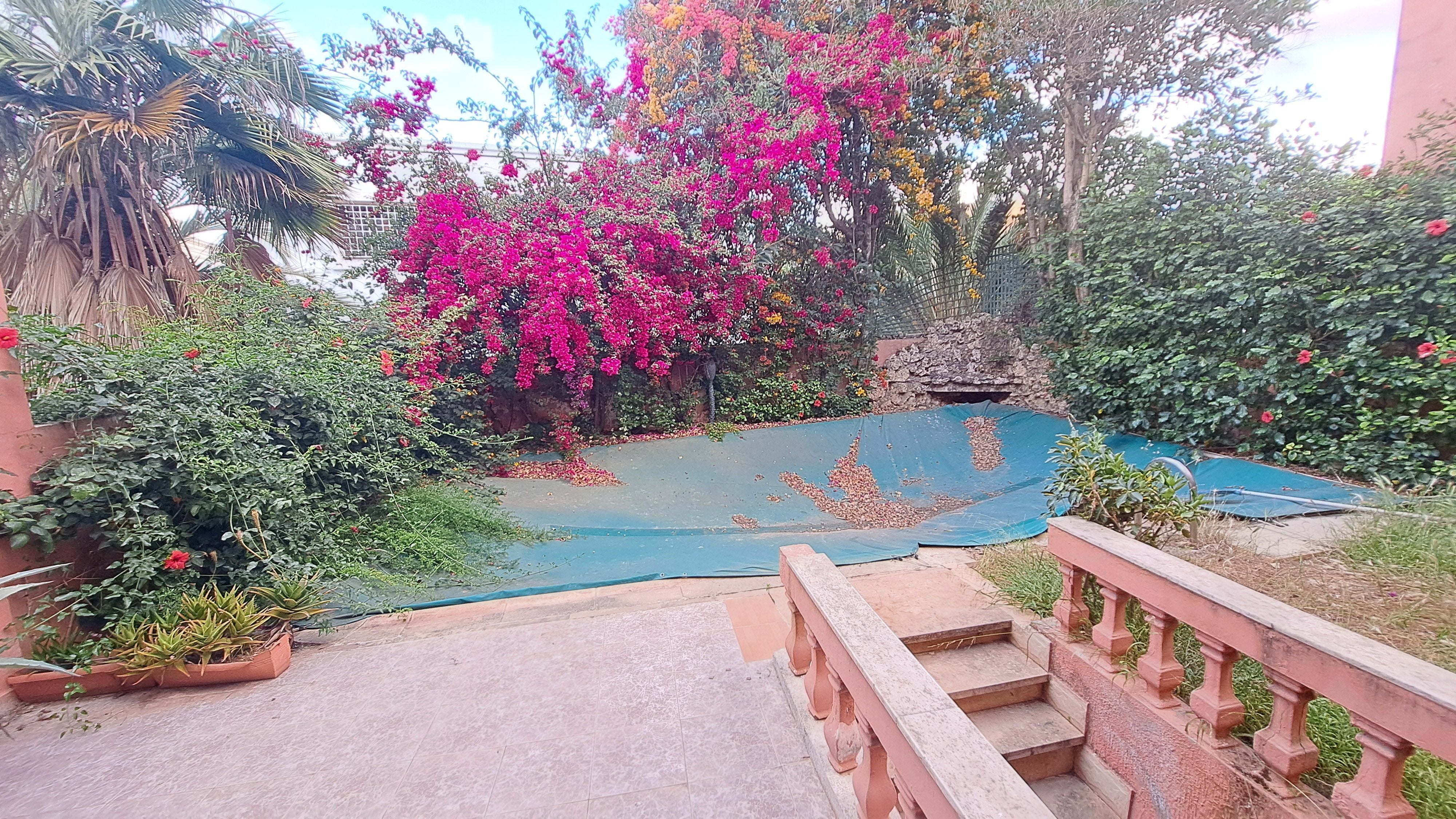Villa 306 m² à Florida - Mandarona — 18