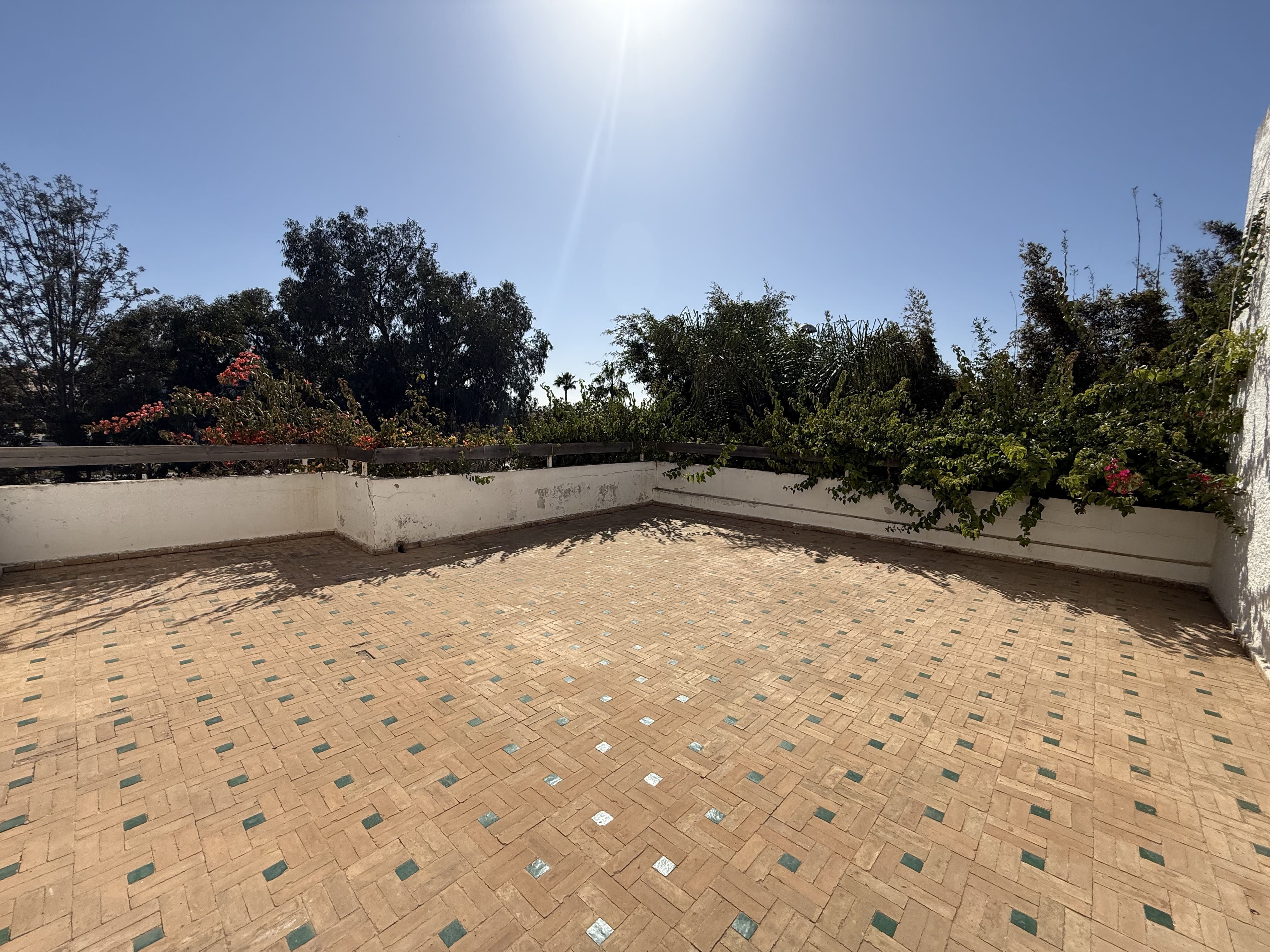 Villa 886 m² à Sindibad — 9