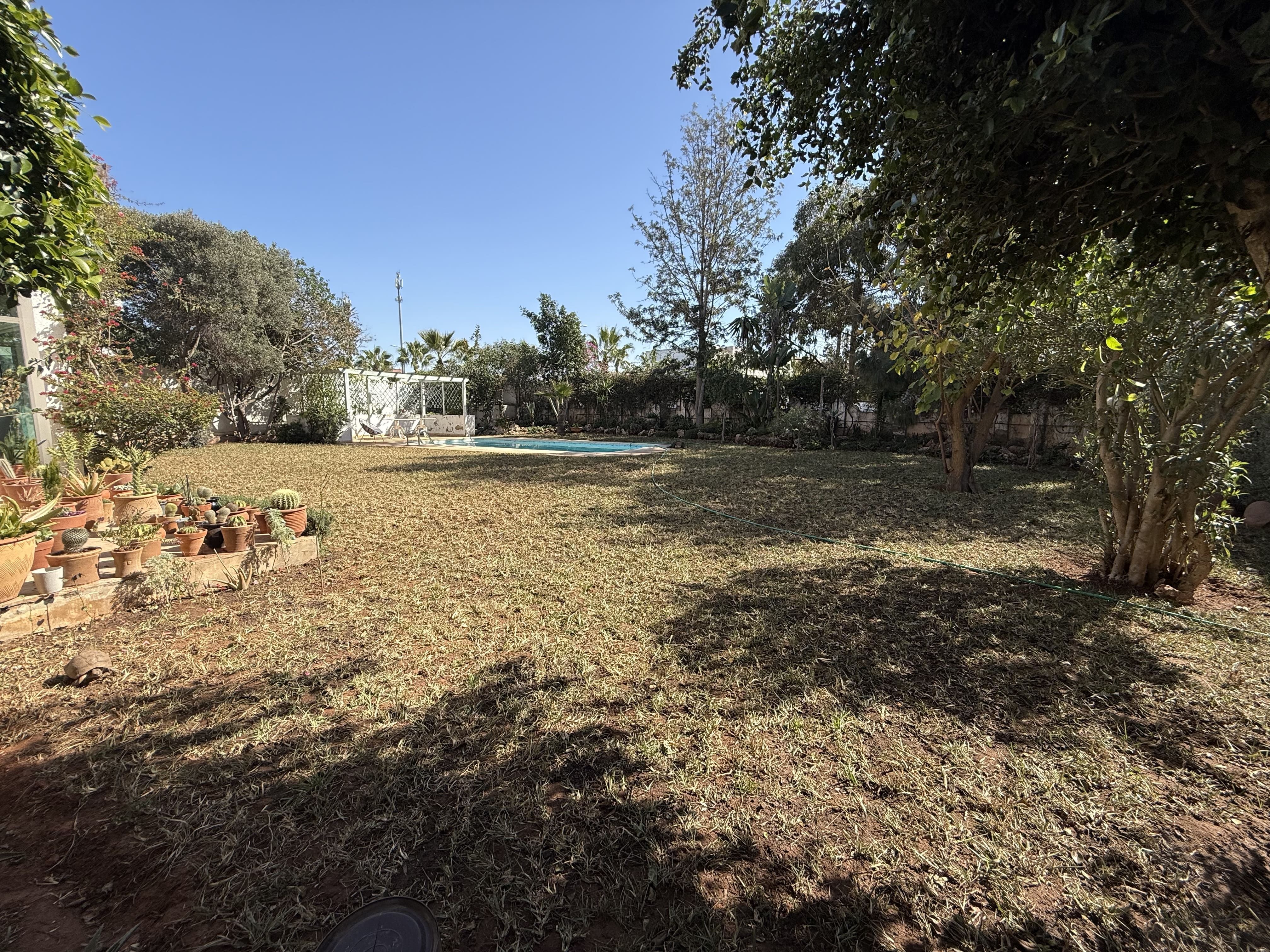 Villa 886 m² à Sindibad — 10