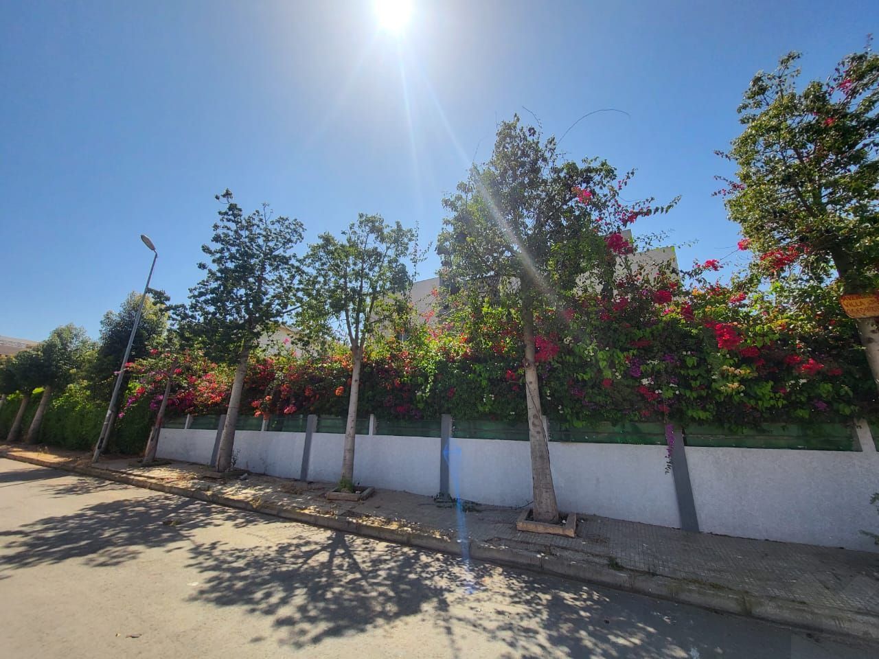 Villa — Casablanca — 4