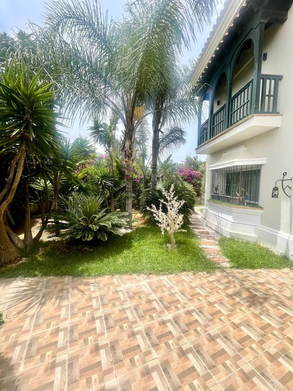 Villa 1542 m² à Tamaris1 — 8