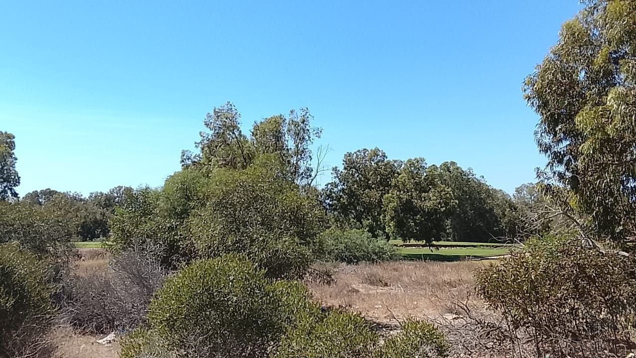 Terrain — Bouznika — 6