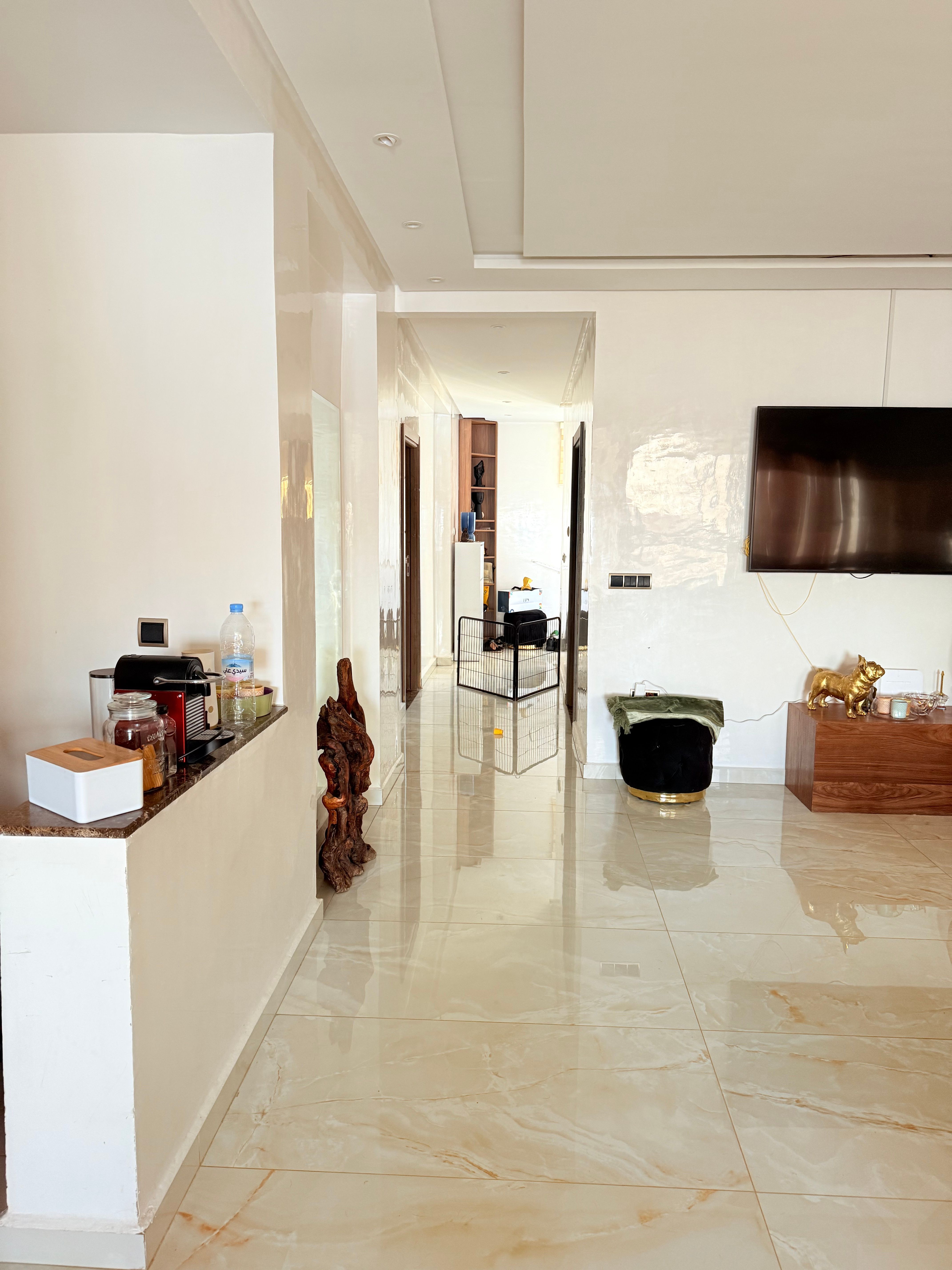 Appartement 119 m² à Gauthier — 9