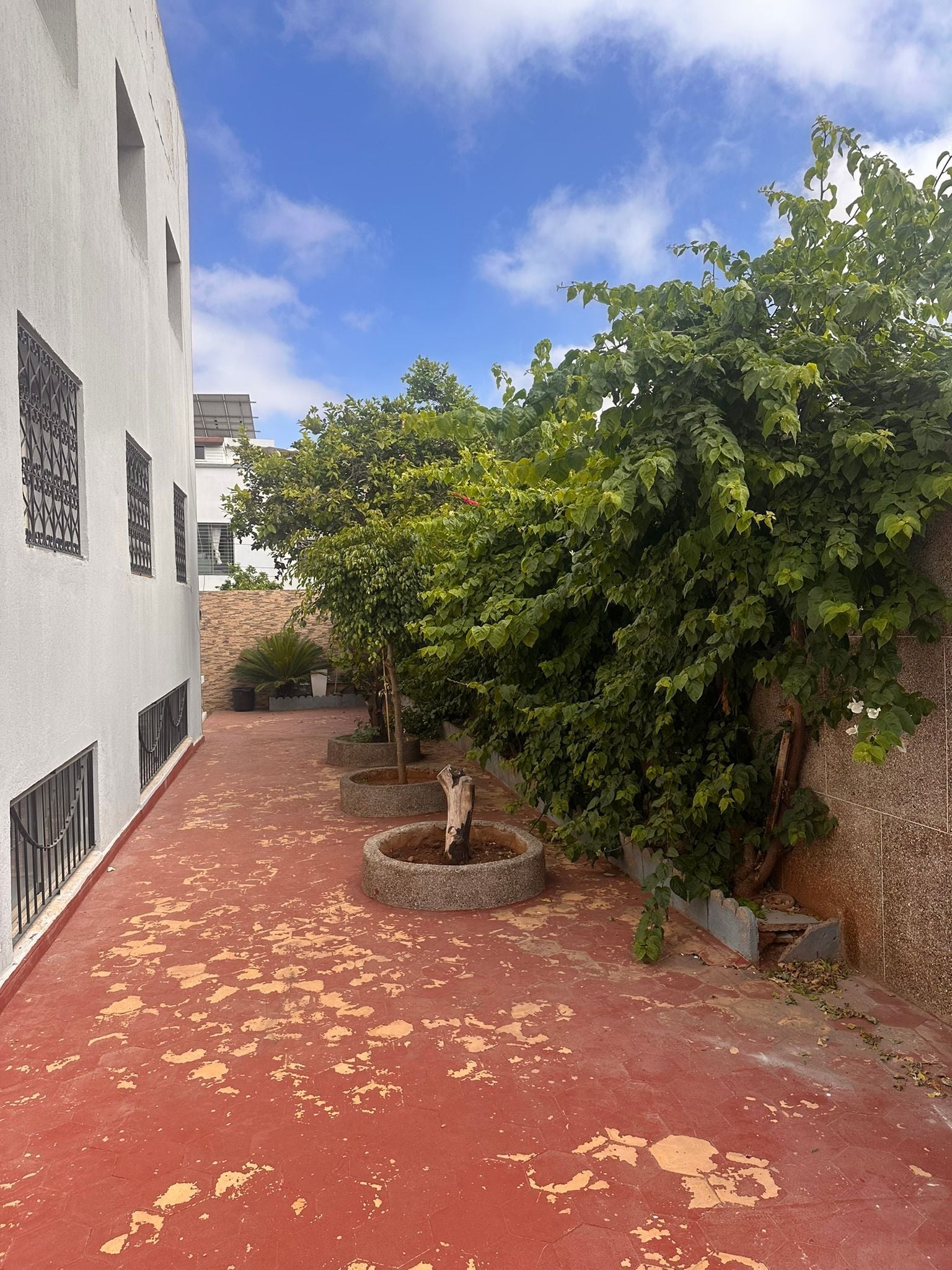 Villa 241 m² f Longchamps — 17