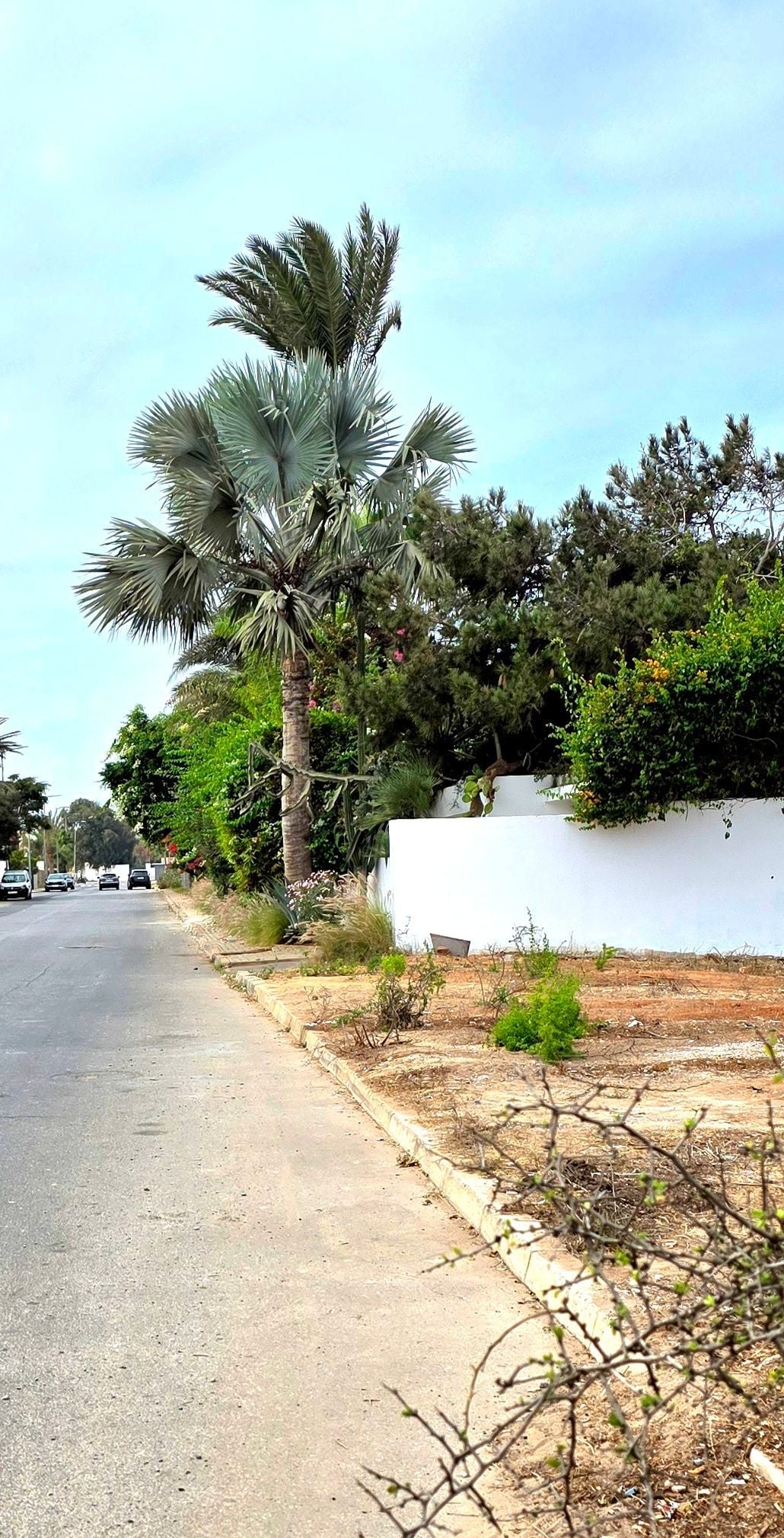 Terrain — Casablanca