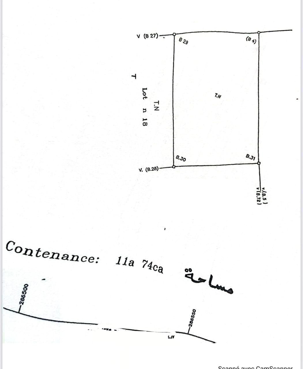 Terrain — Casablanca — 4