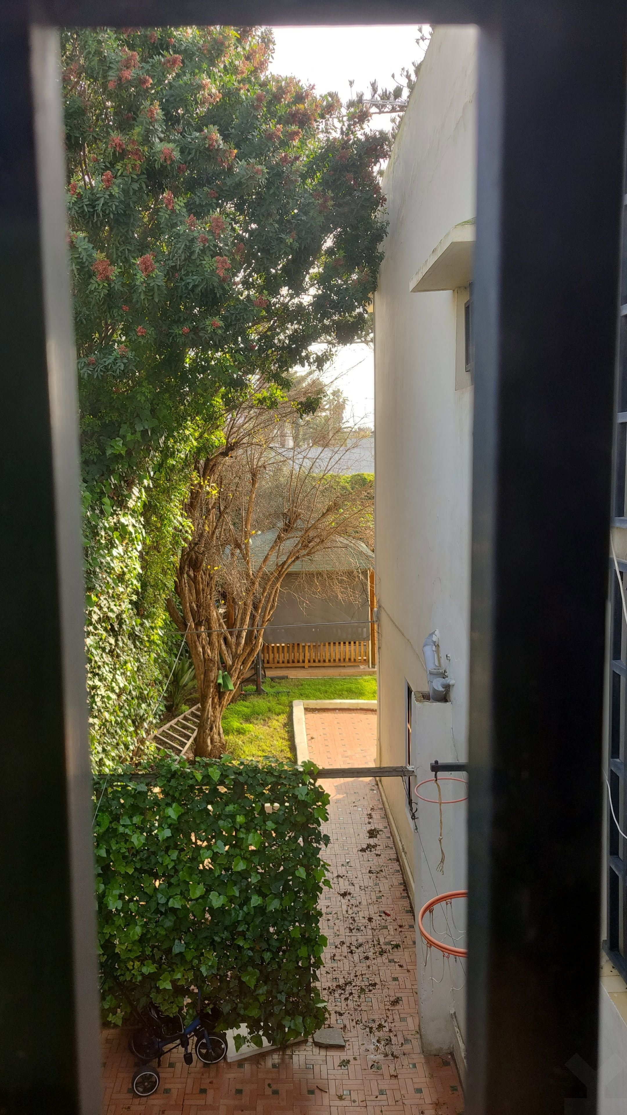 Villa 938 m² à Oasis — 16