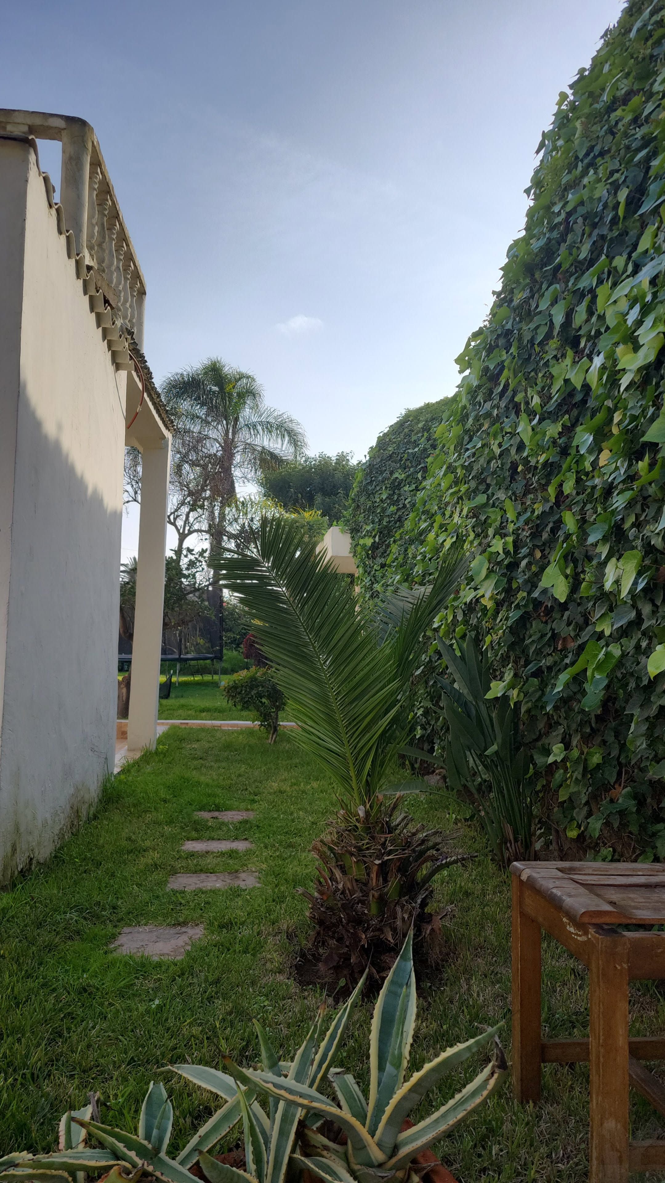 Villa 938 m² à Oasis — 17