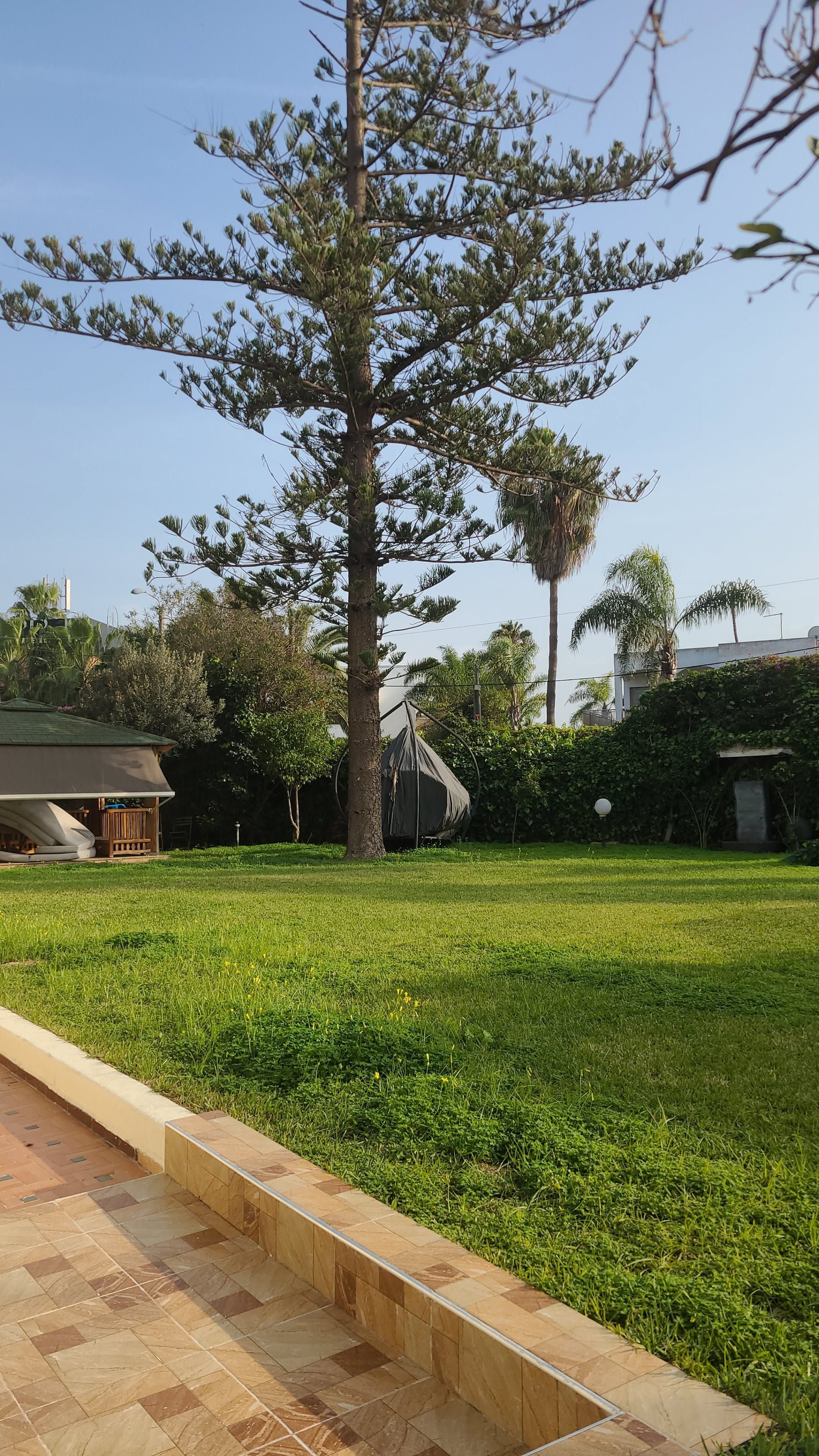 Villa 938 m² à Oasis — 20