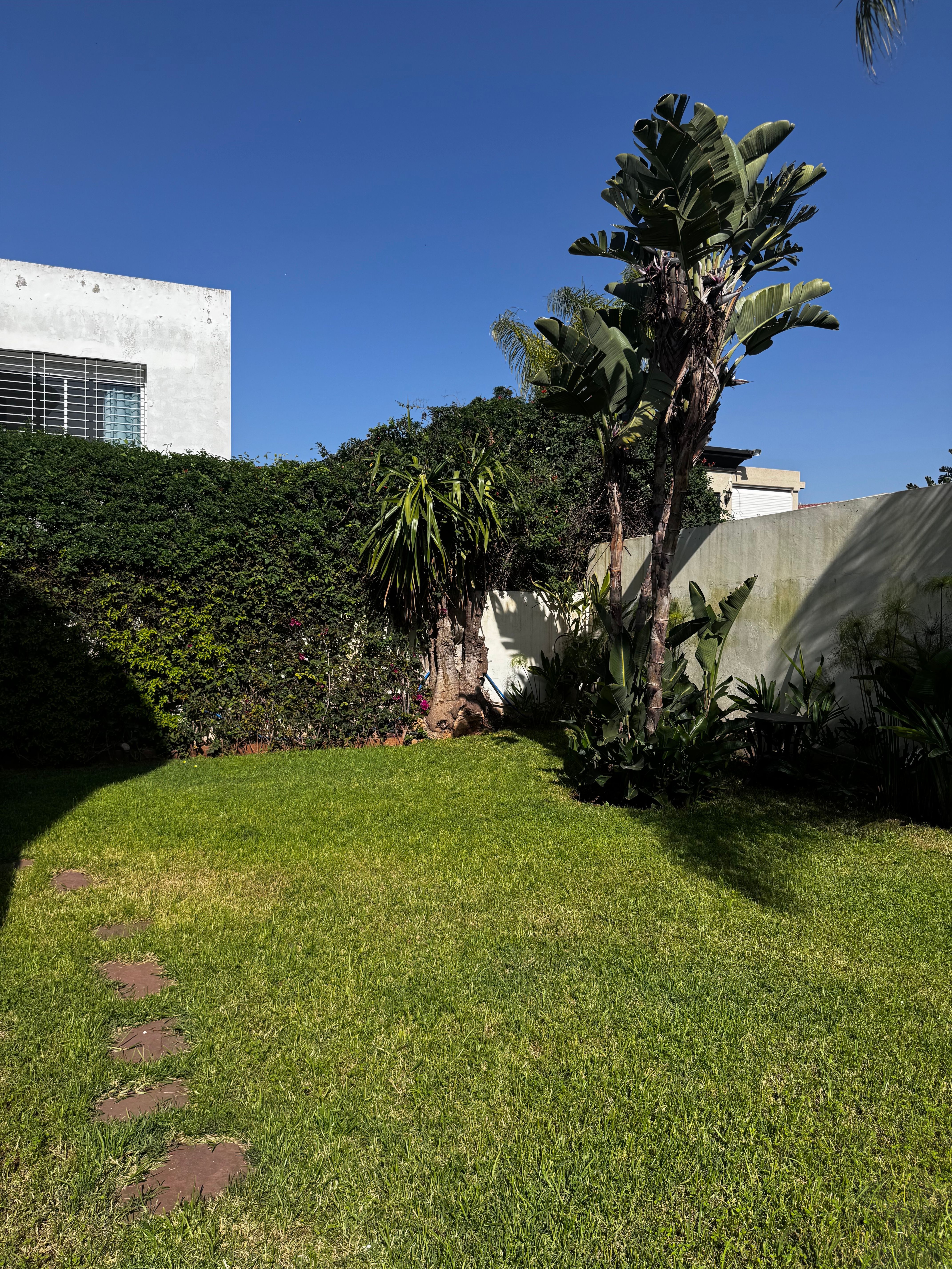 Villa 663 m² à Florida - Mandarona — 25