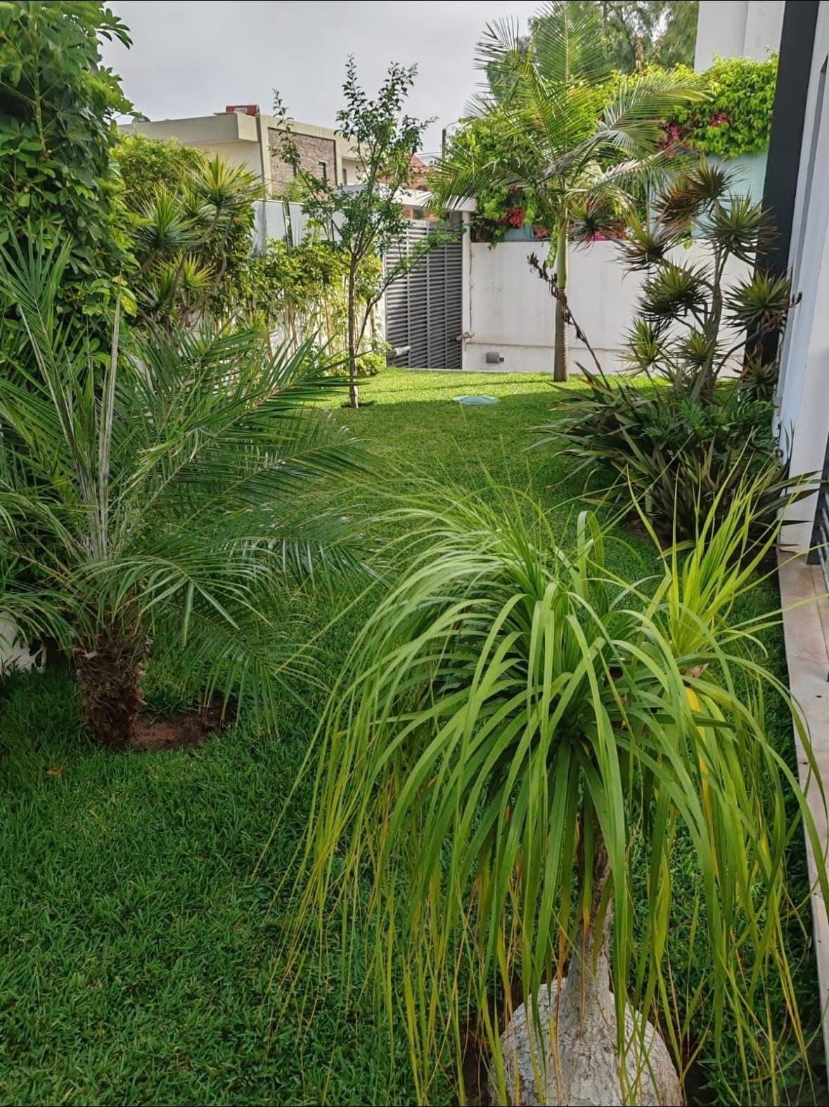 Villa 601 m² f Polo (Ain Chok) — 7