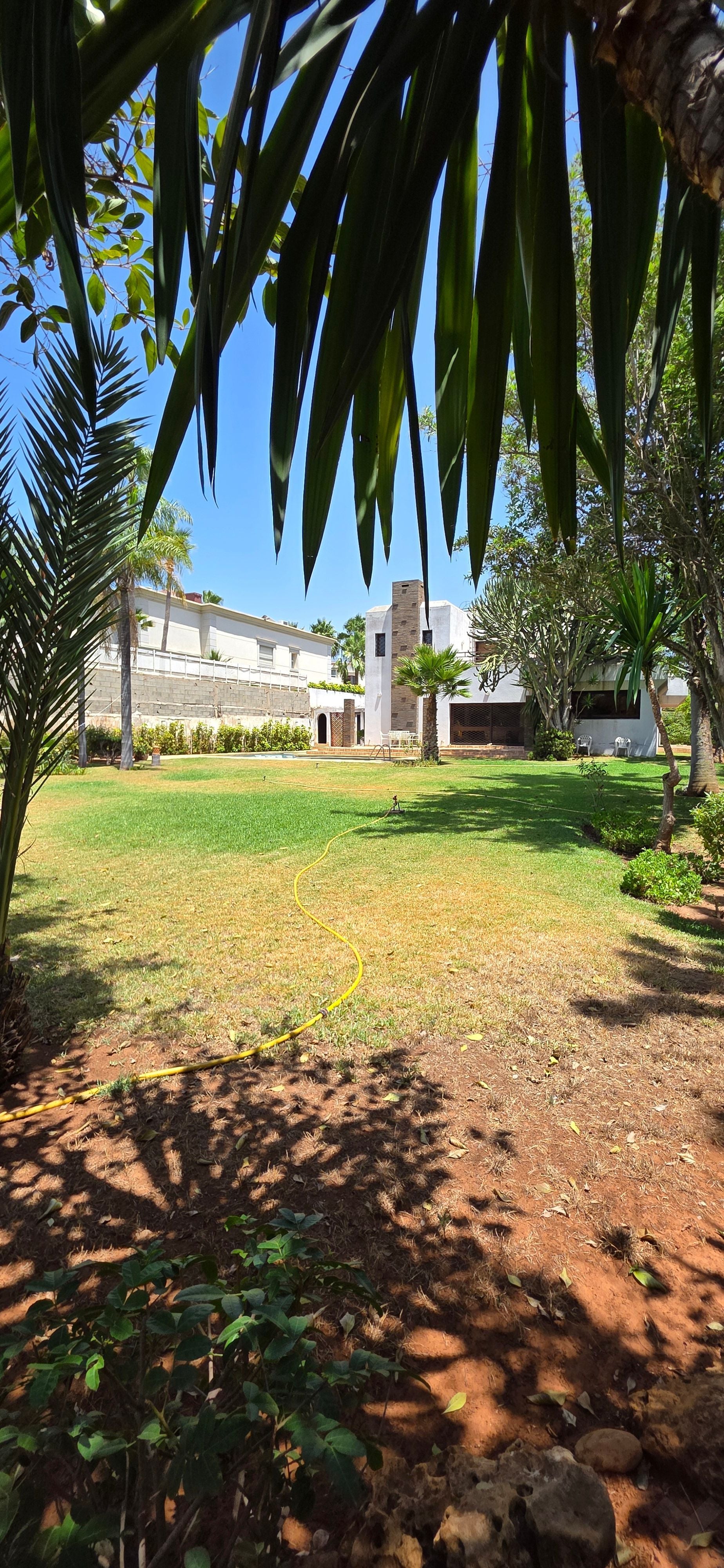 Villa 1372 m² à Californie — 29