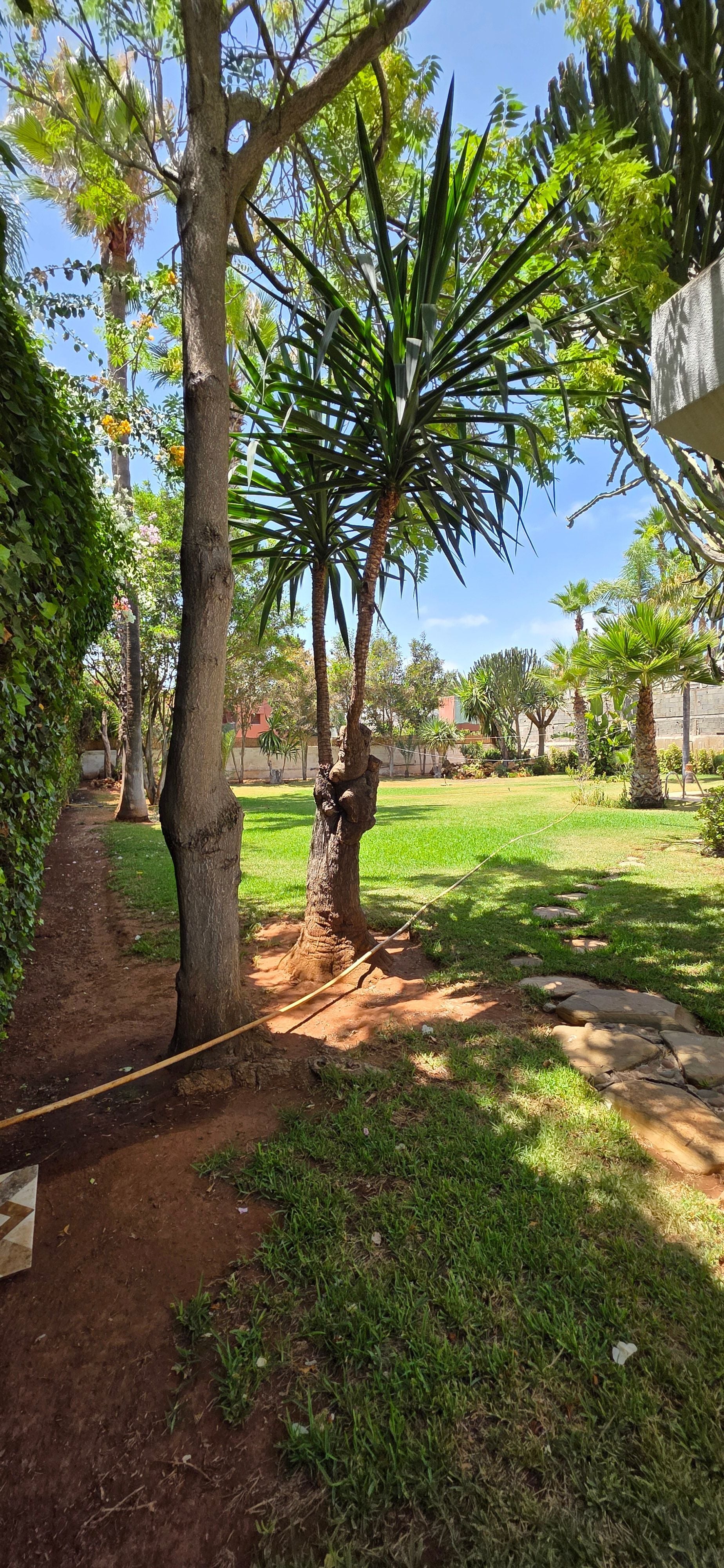 Villa 900 m² à Californie — 31