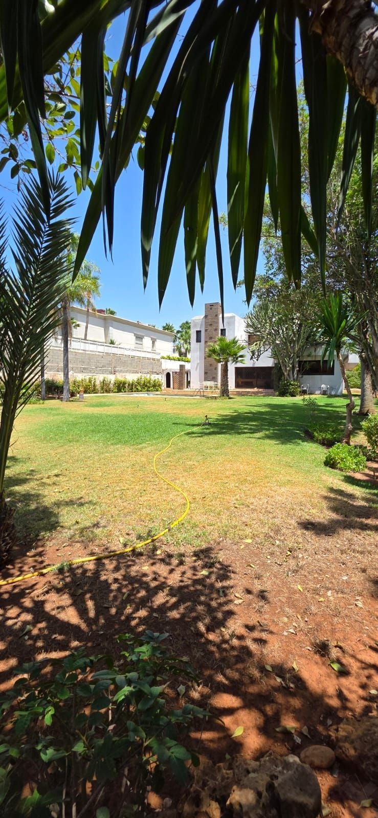 Villa 1372 m² à Californie — 9