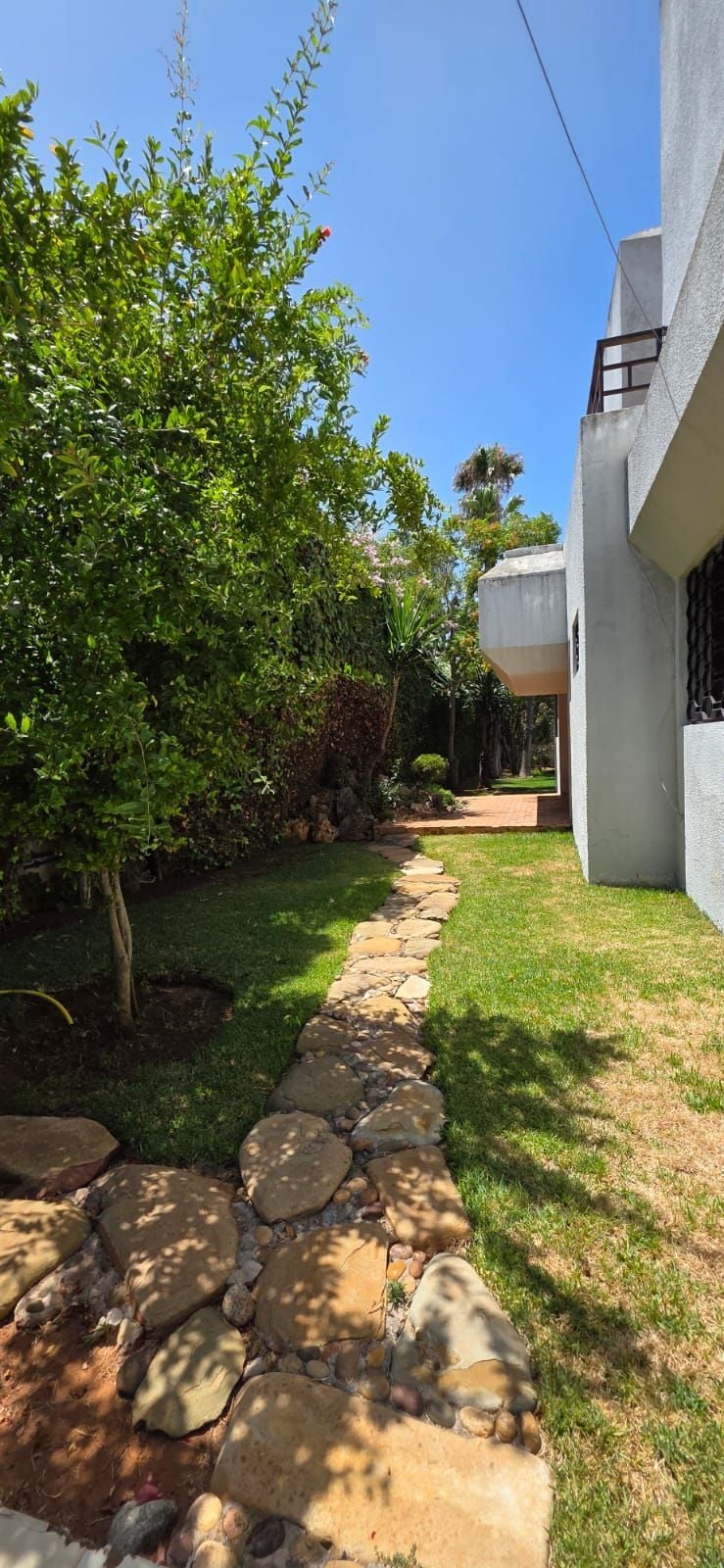 Villa 1372 m² à Californie — 11