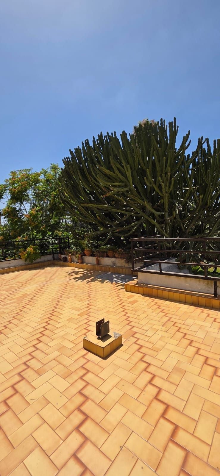 Villa 1372 m² à Californie — 13