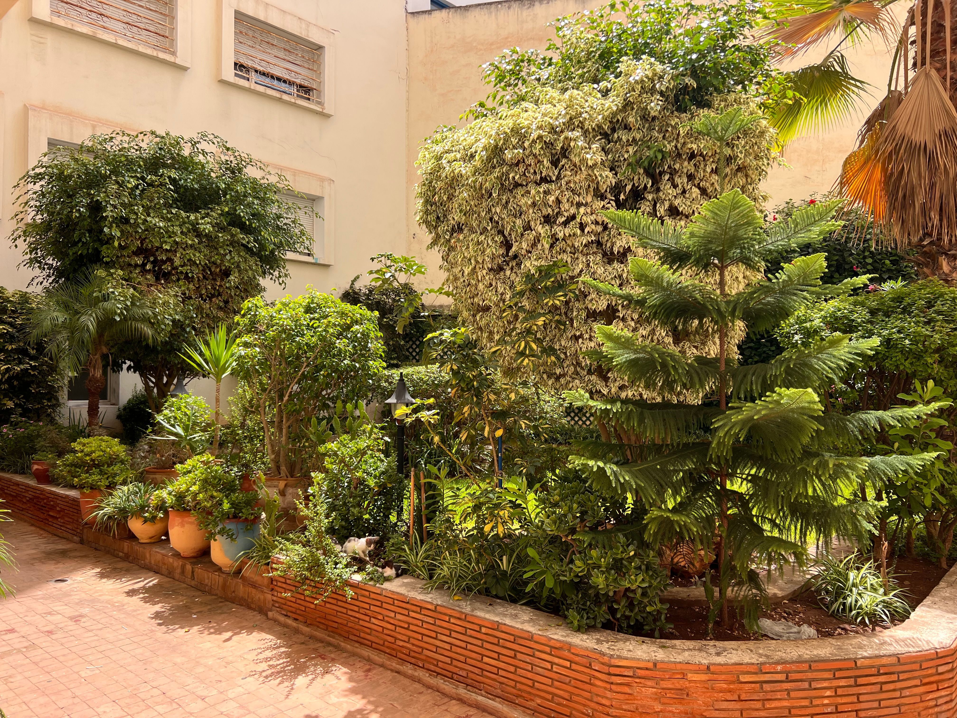 Appartement 80 m² f Bourgogne (Sidi Belyout) — 9