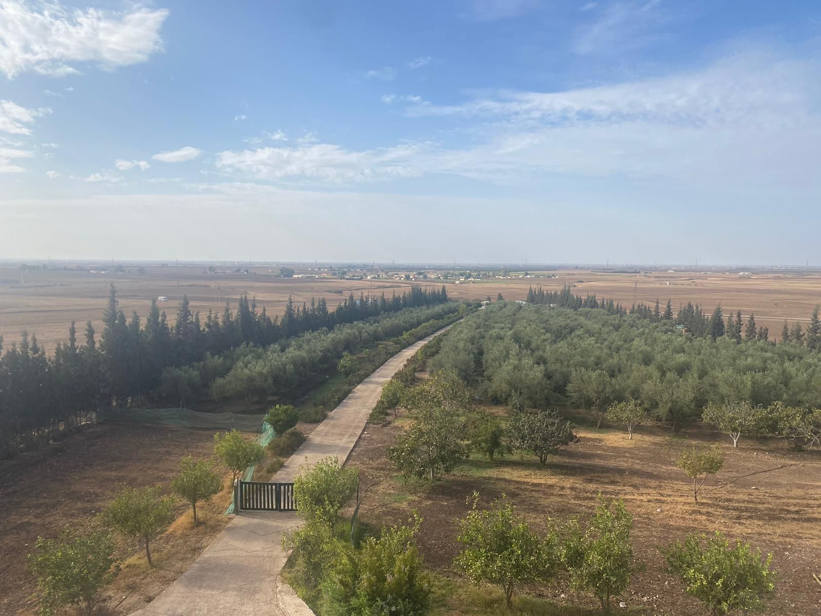 Riad 19590 m² f Les Jardins — 8