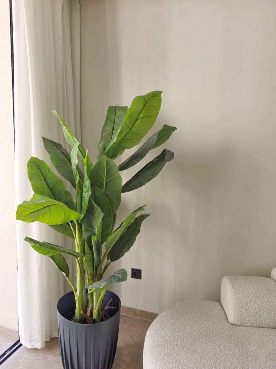 Appartement 65 m² à Les Princesses — 5