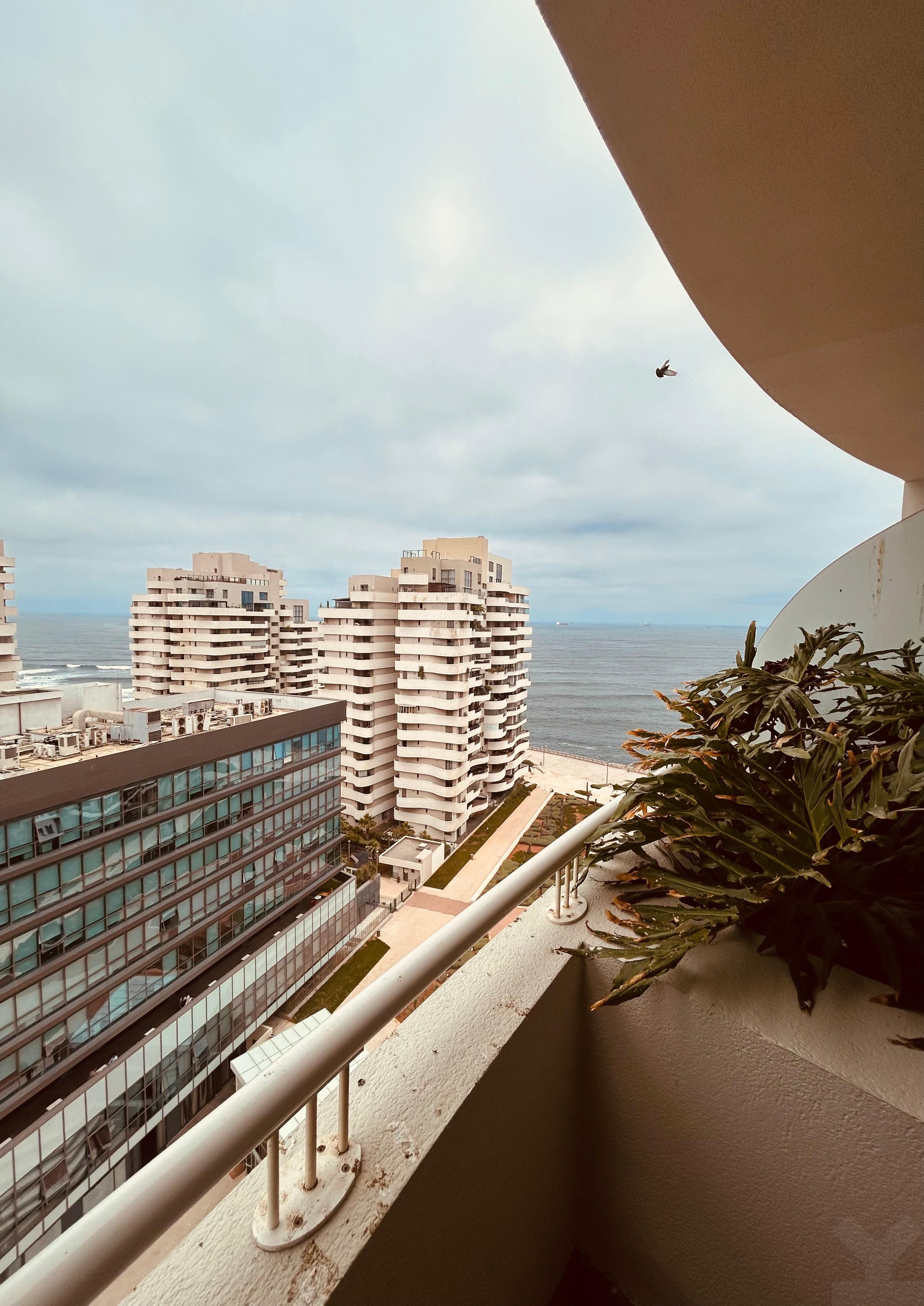 شقة — Casablanca — 3