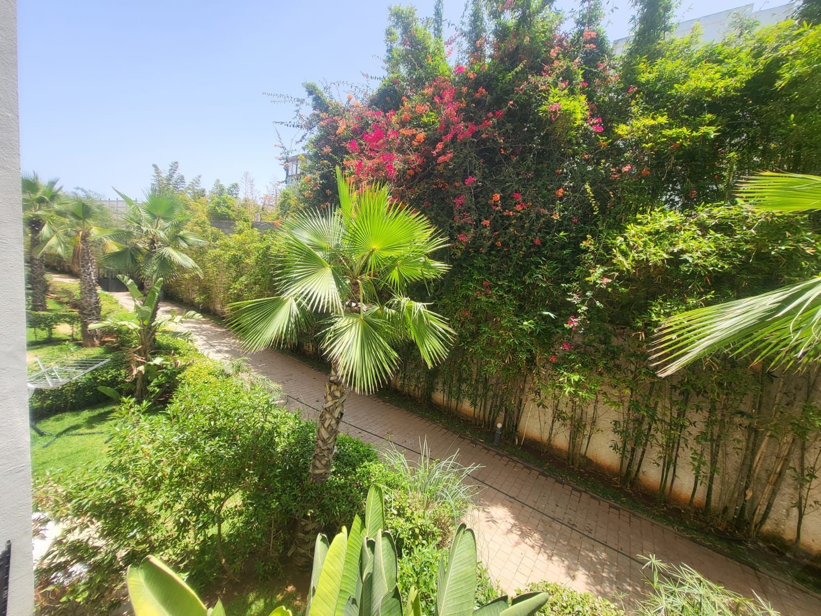 شقة — Casablanca — 6