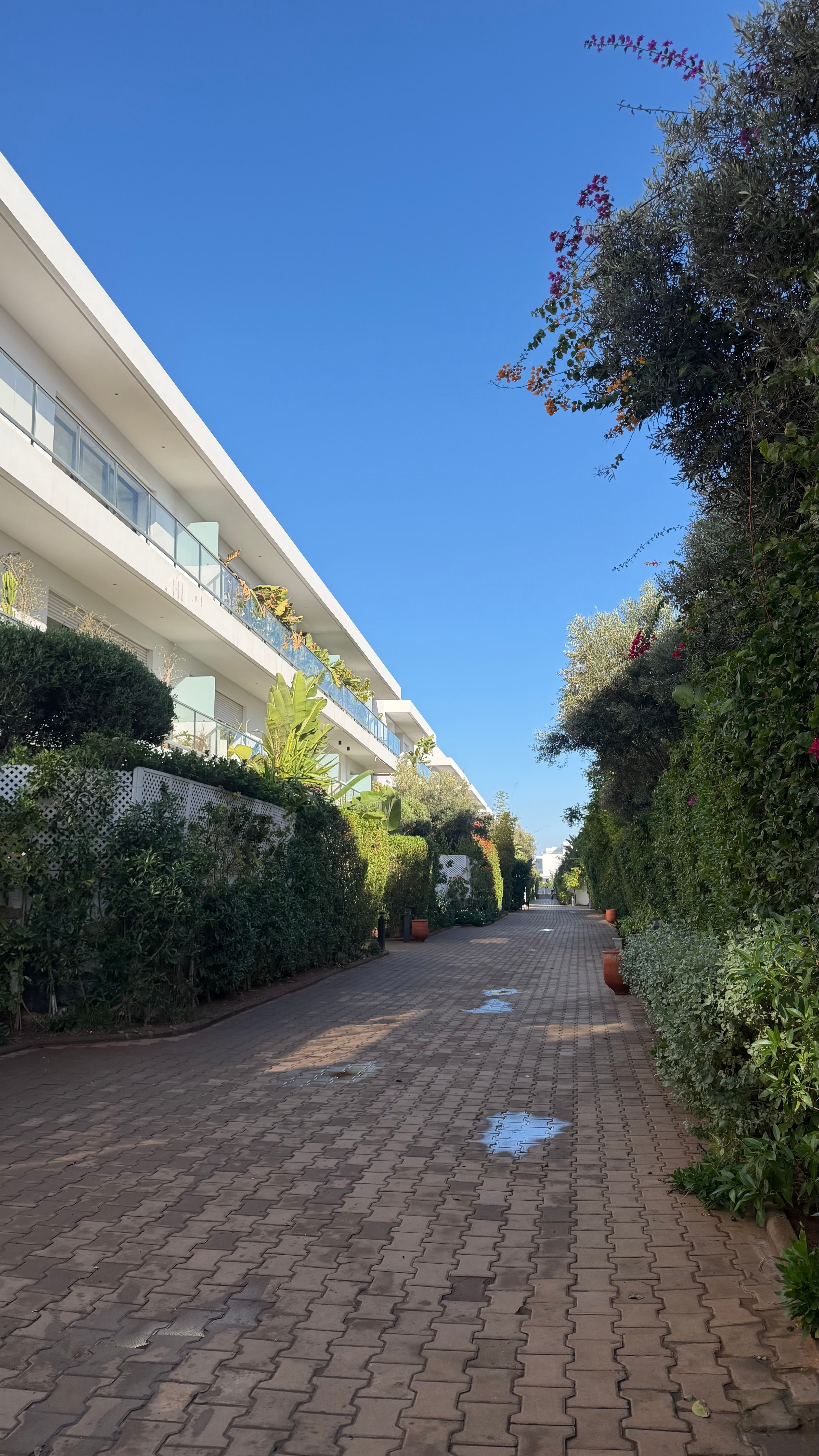 Appartement 201 m² f Tamaris1 — 14