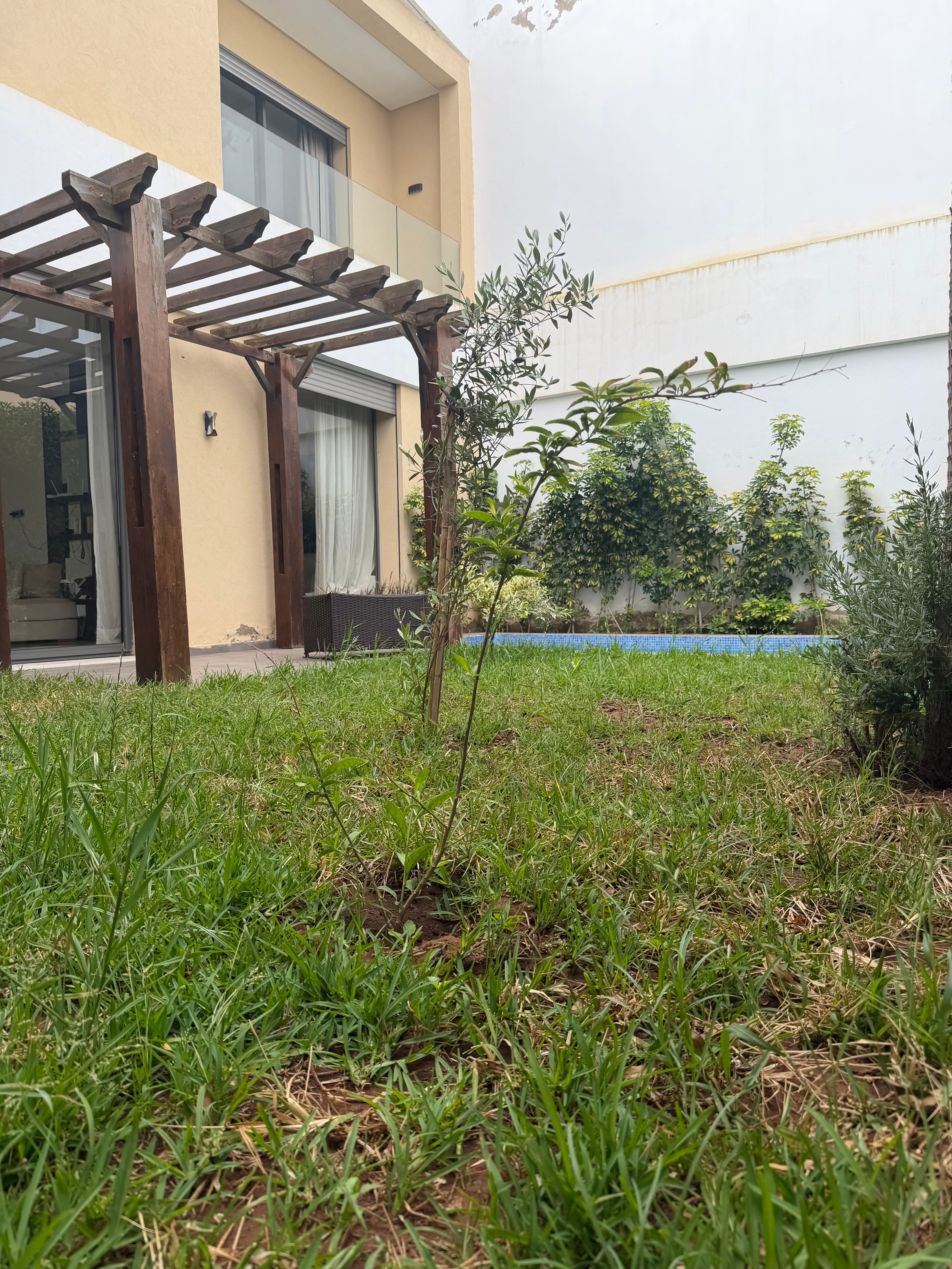 Villa 194 m² à Tamaris1 — 23