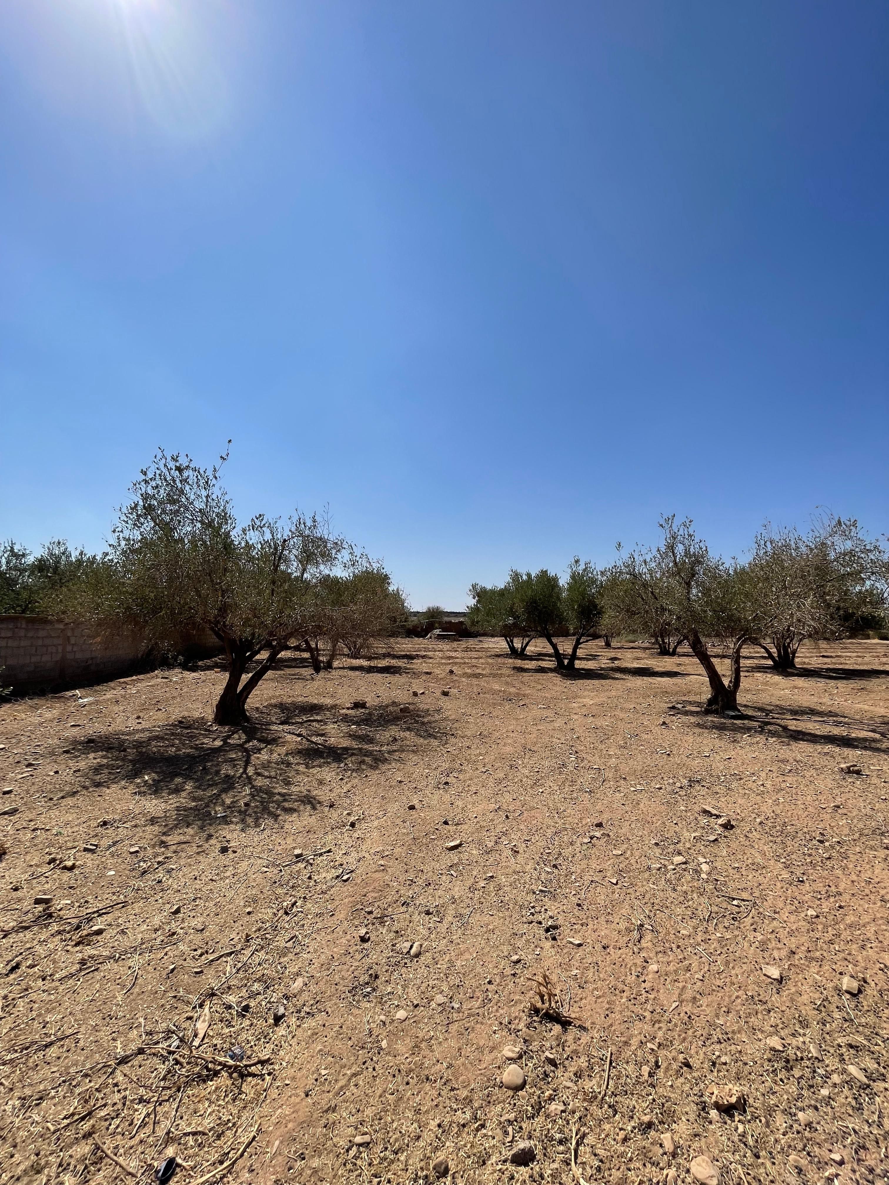 Terrain — Marrakech — 2