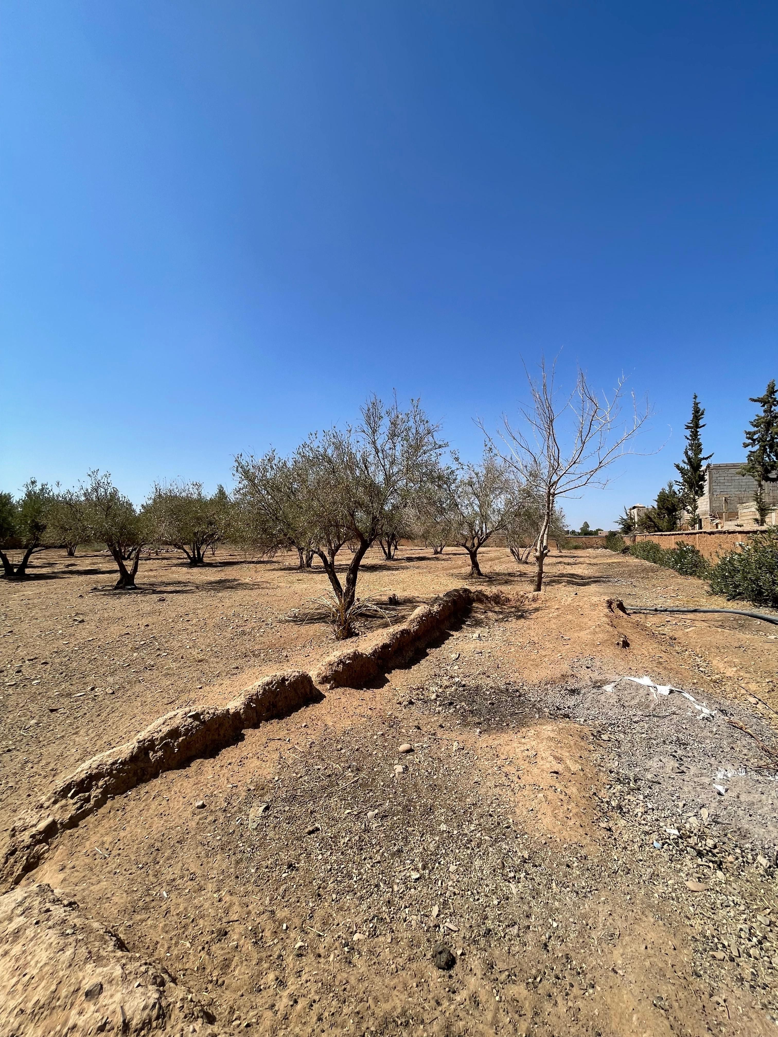 Terrain — Marrakech — 3