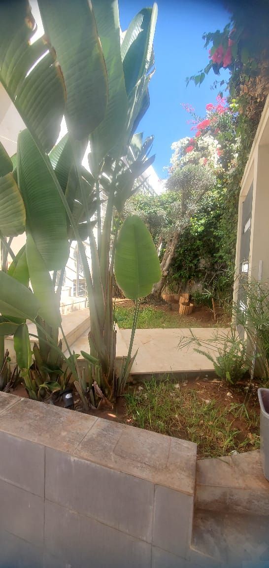 Villa 250 m² à Tamaris1 — 17
