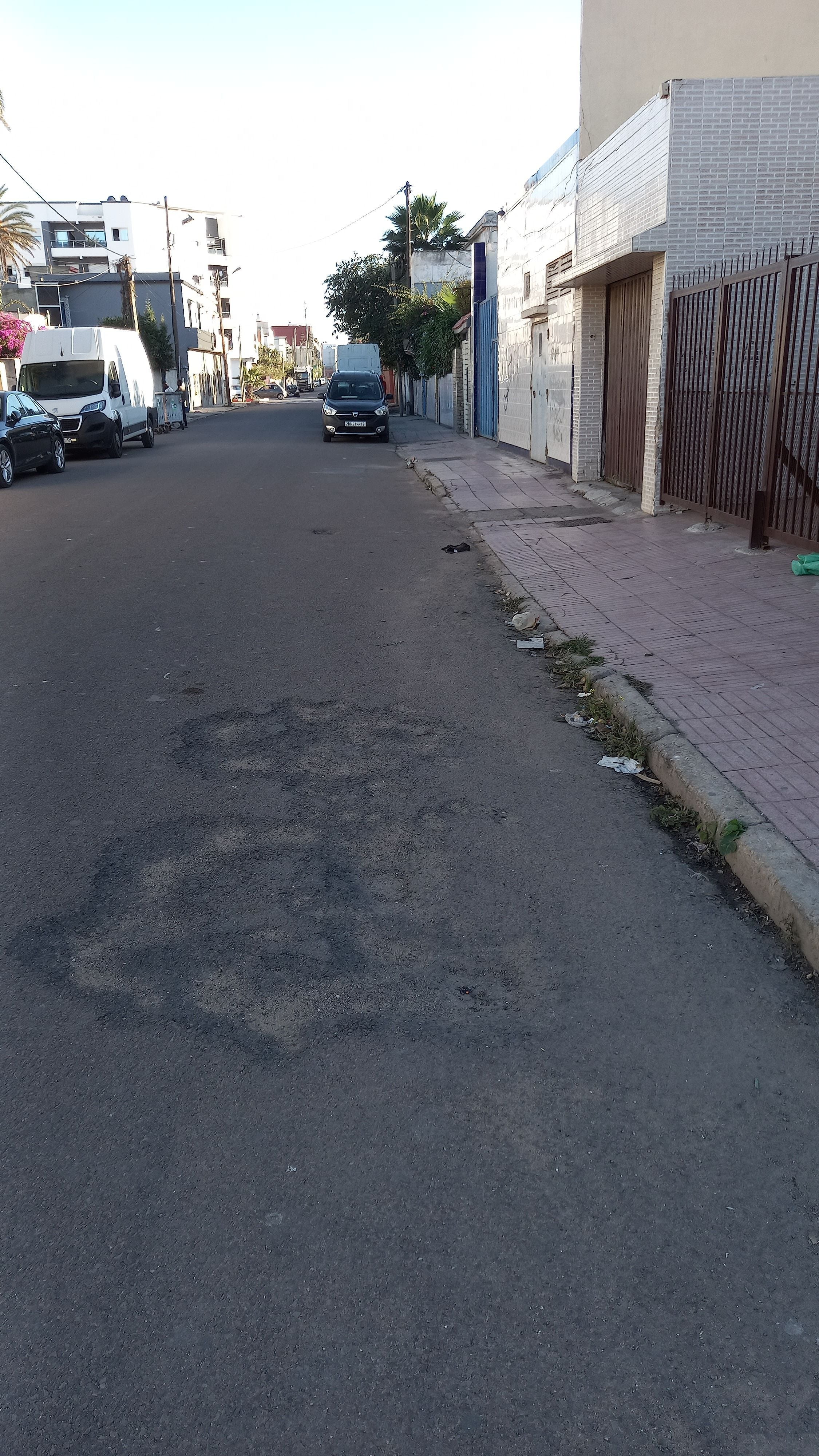 أرض — Casablanca — 4