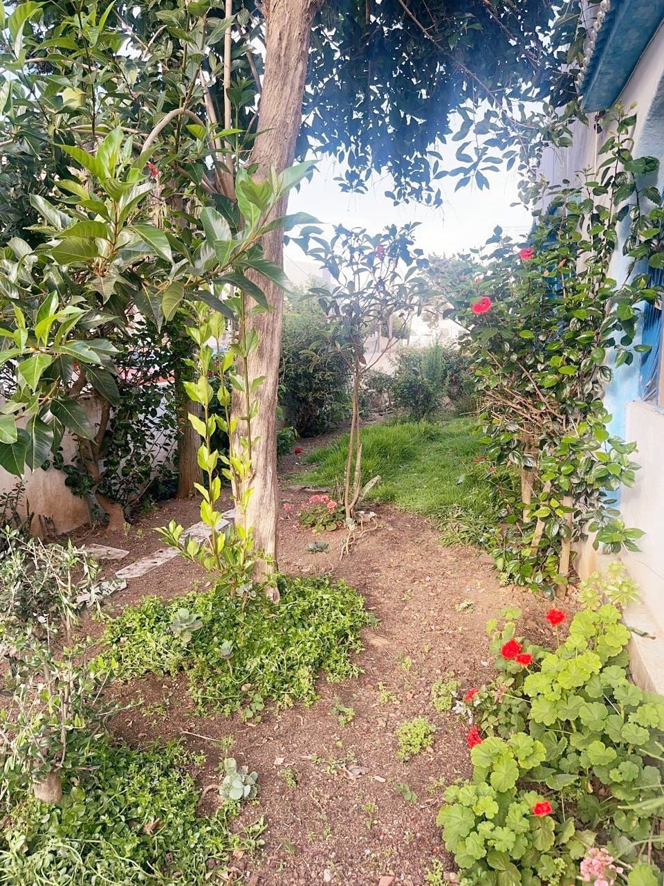 Villa 449 m² f Marina Smir — 10